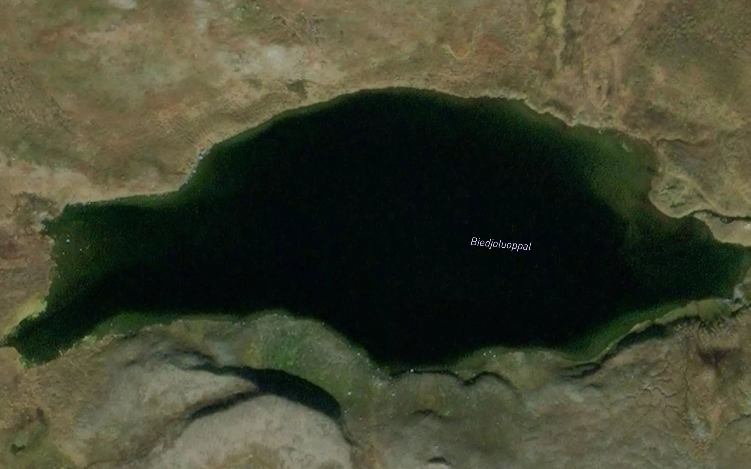 Biedjoluoppal