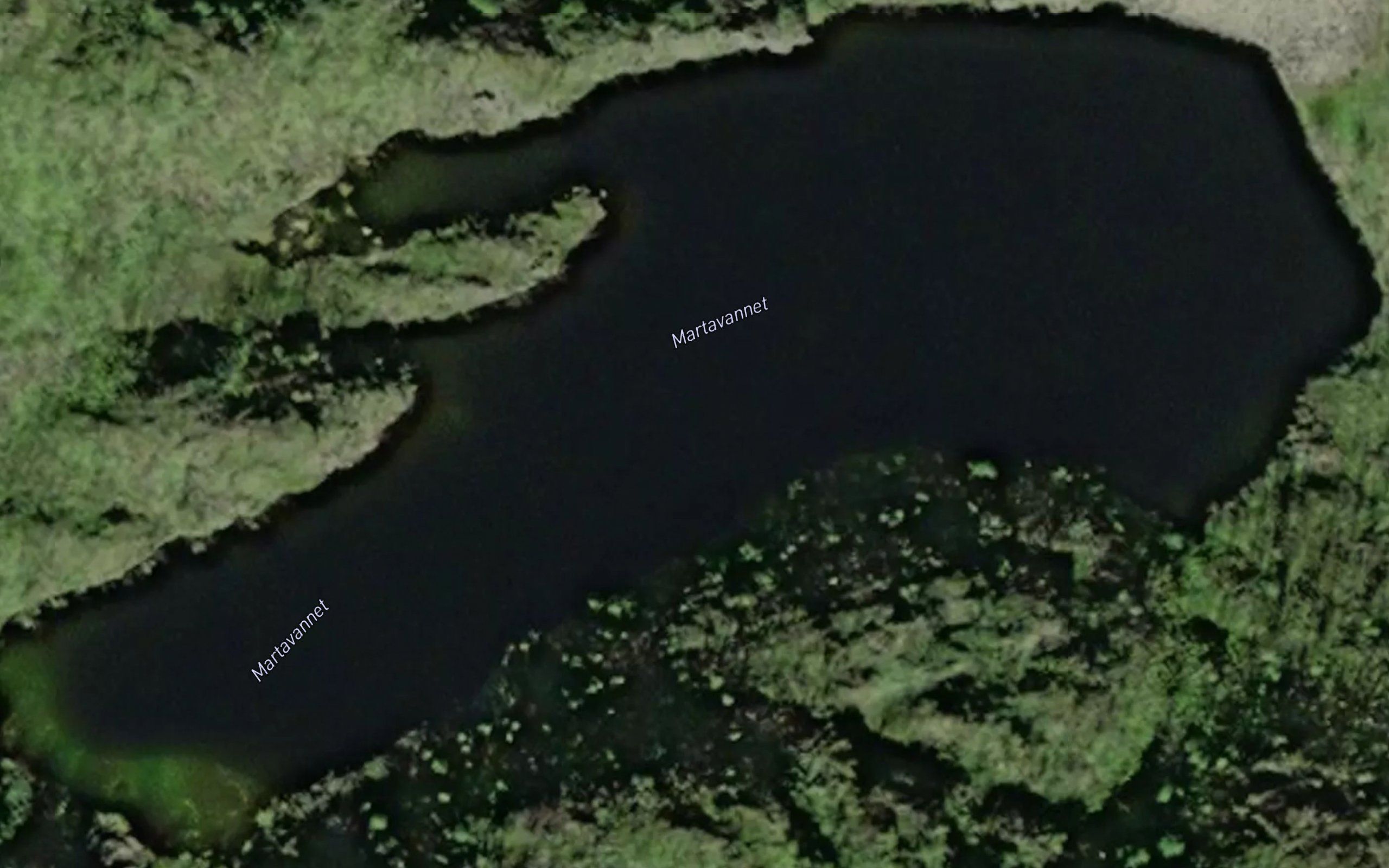 Martavatnet