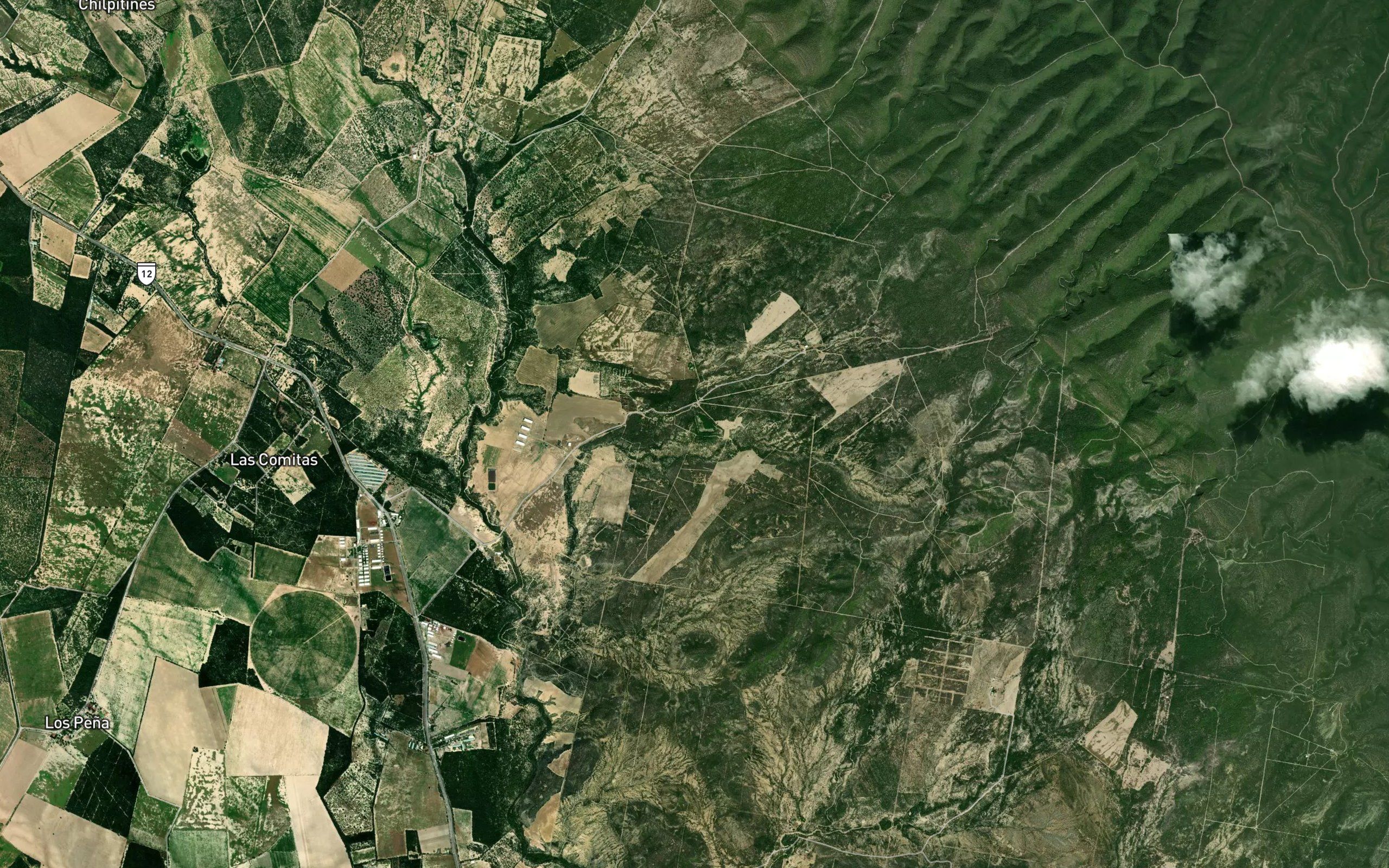 Bordos Los Becerros