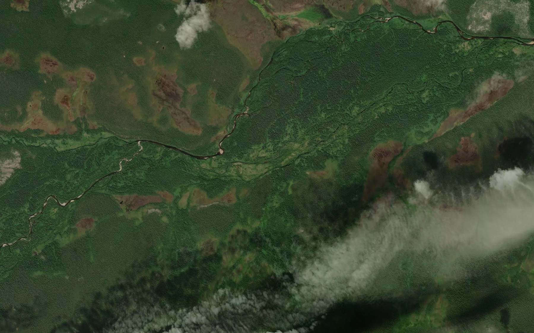 Satellite map of the Rozhki
