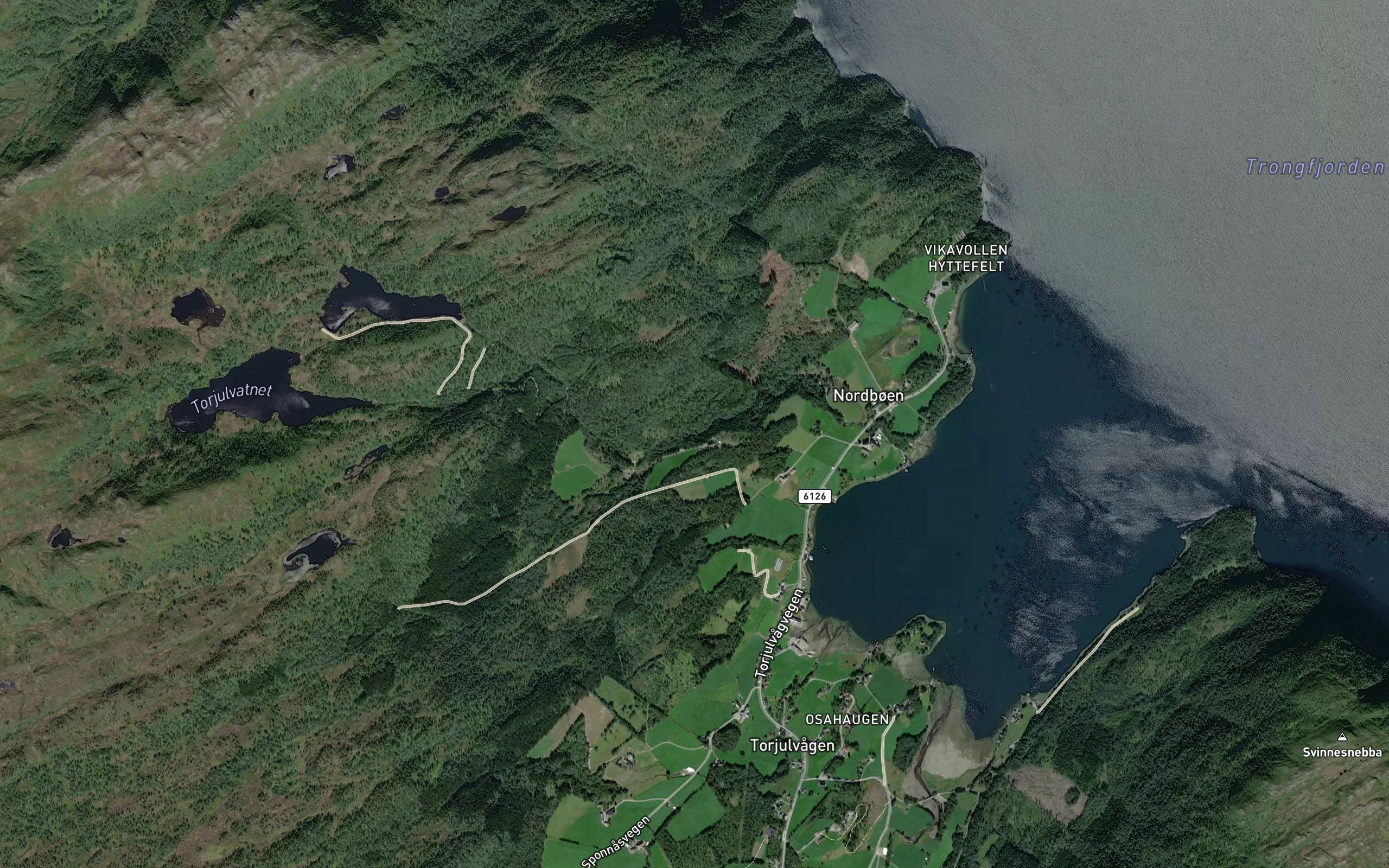 Torjulelva