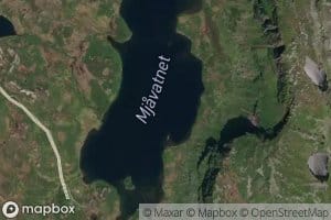 Mjavatnet