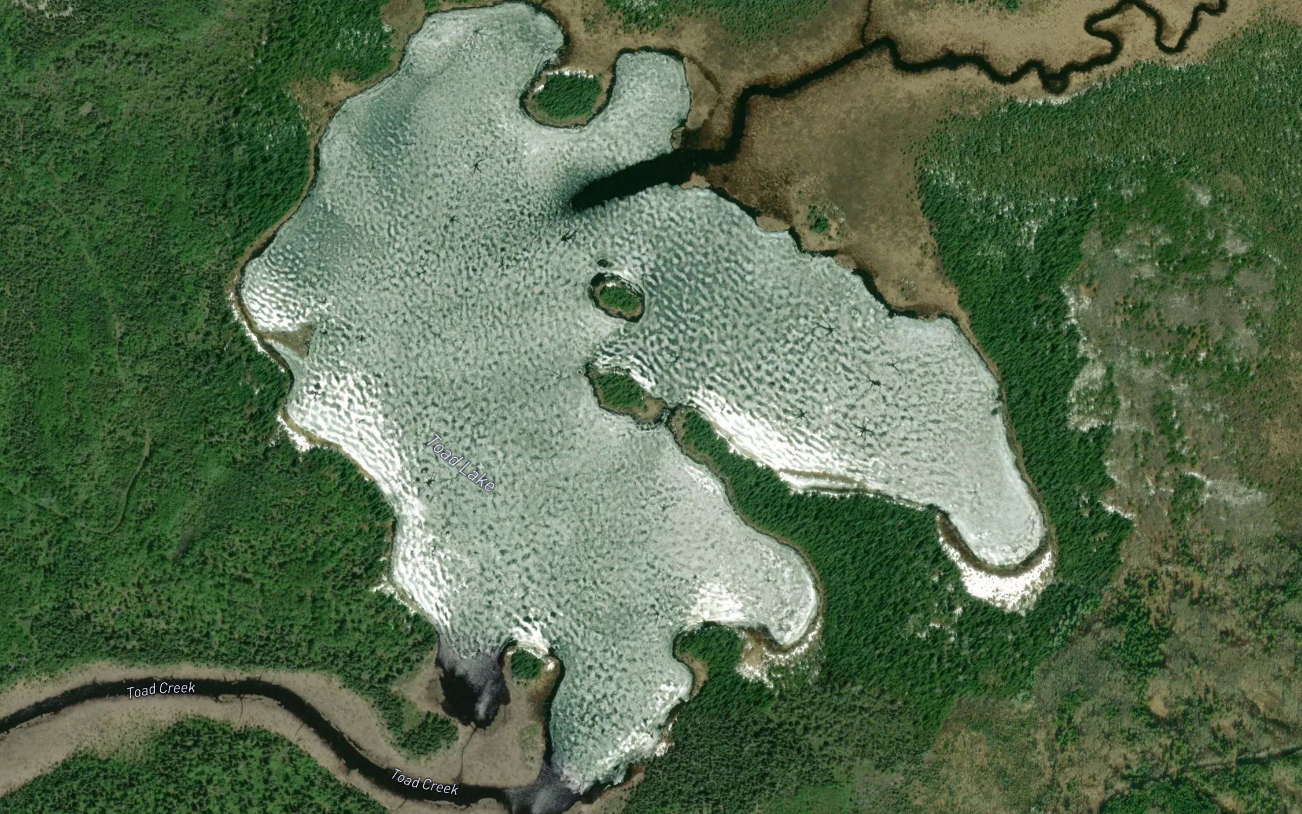 Toad Lake