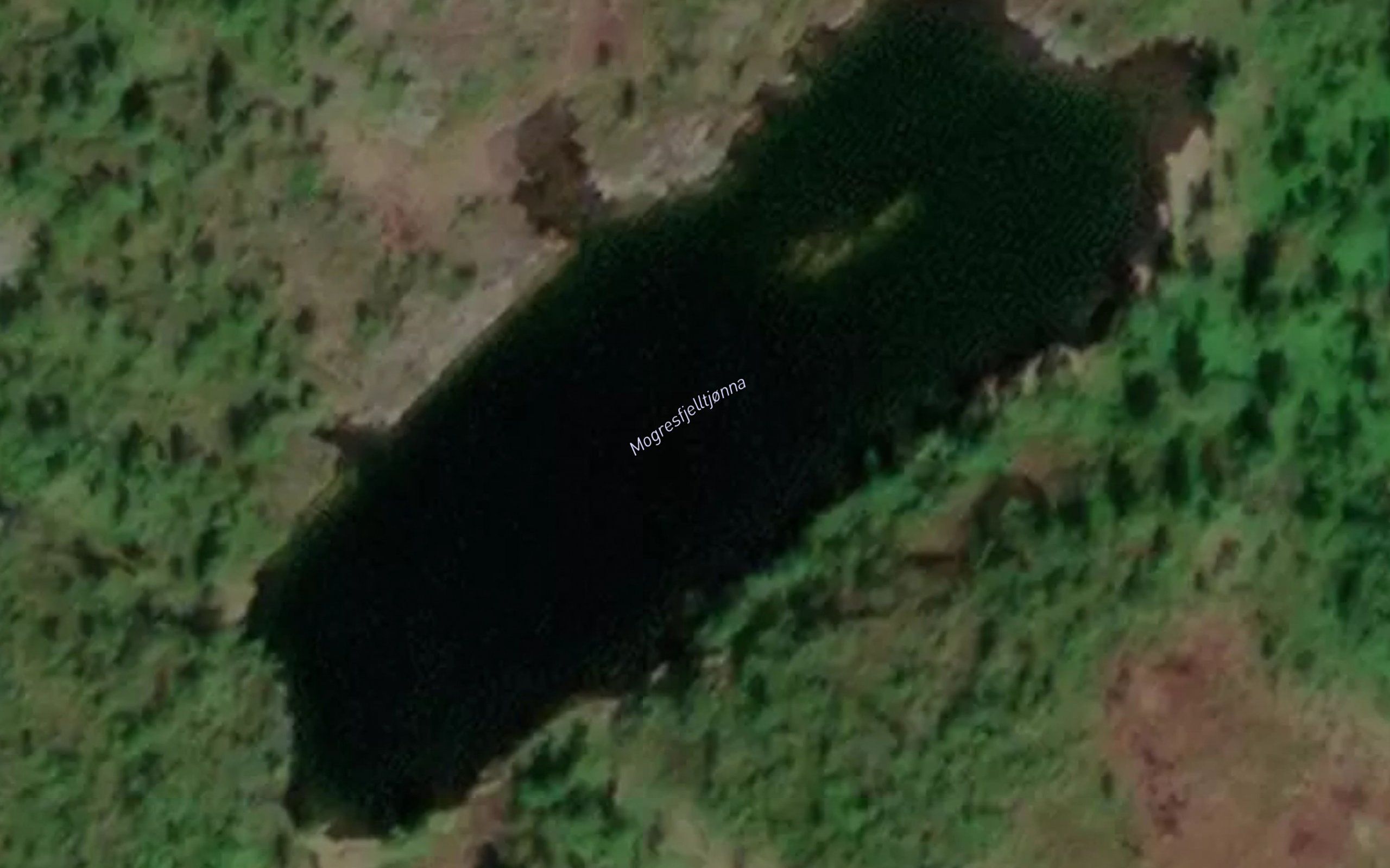 Mogressfjelltjonna