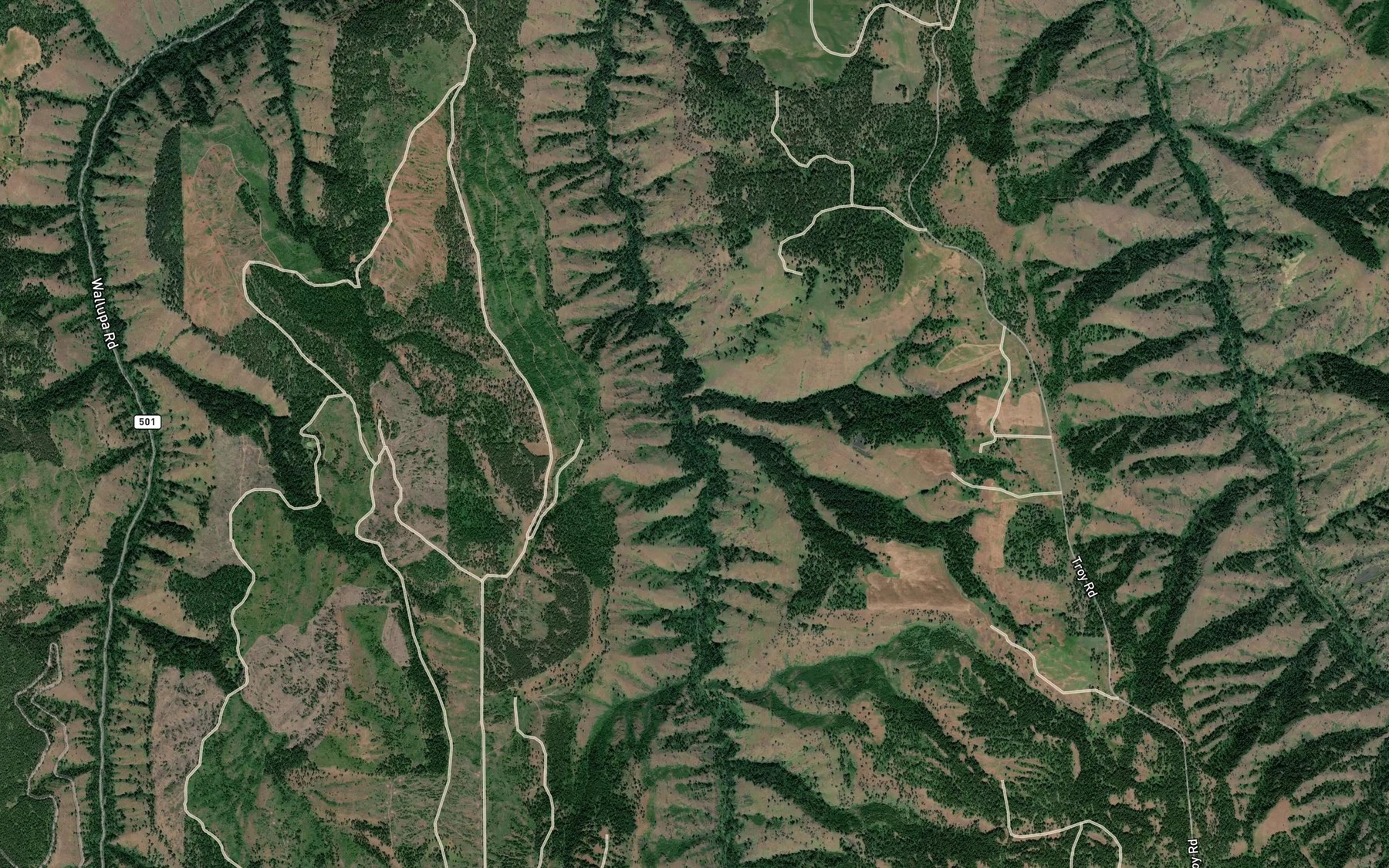 Satellite map of the Rattlesnake Creek