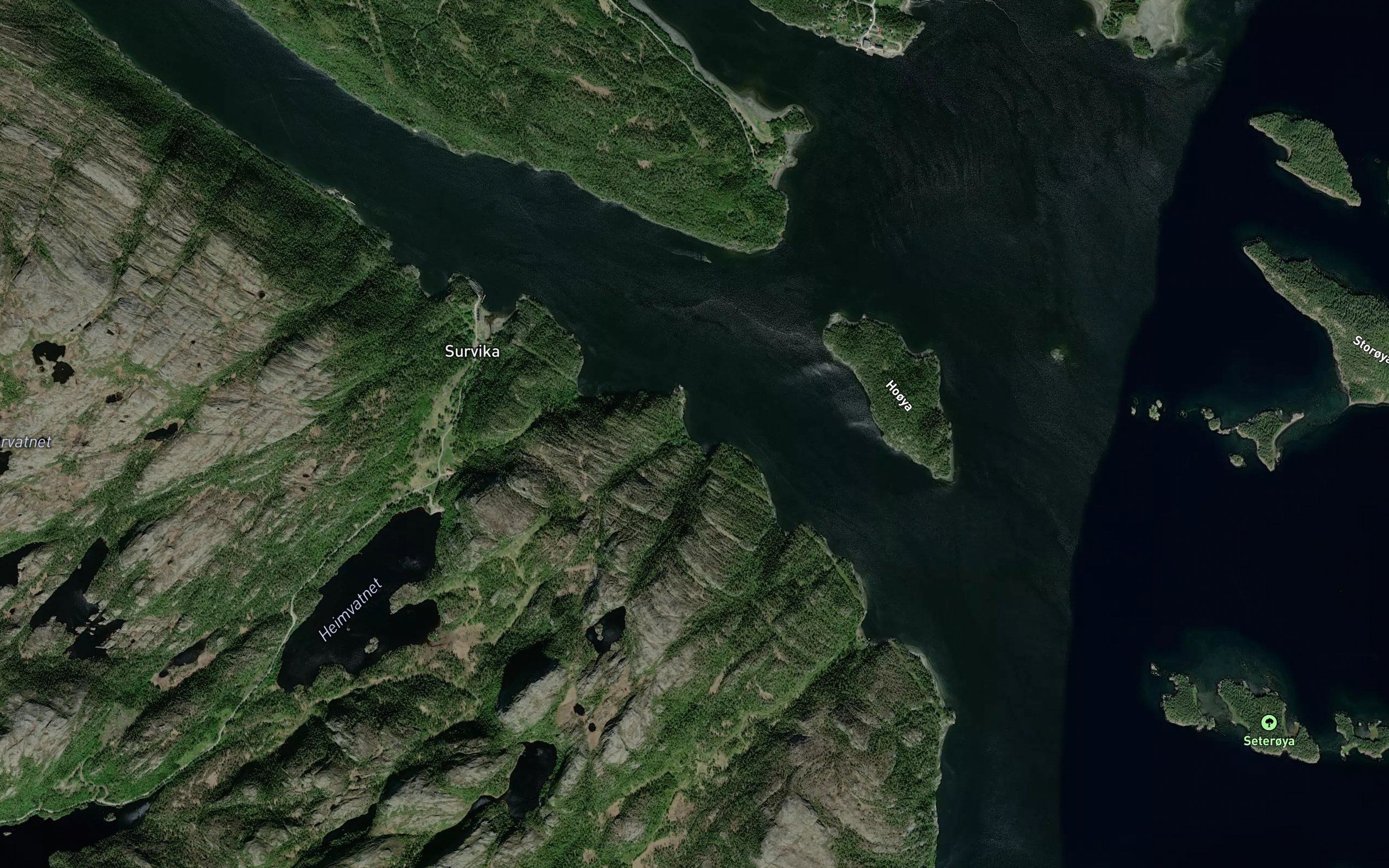 Ottevika