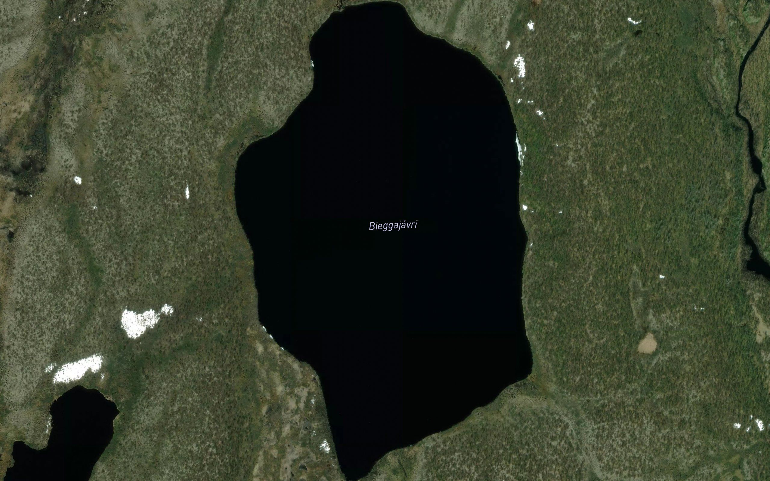 Bieggajavri