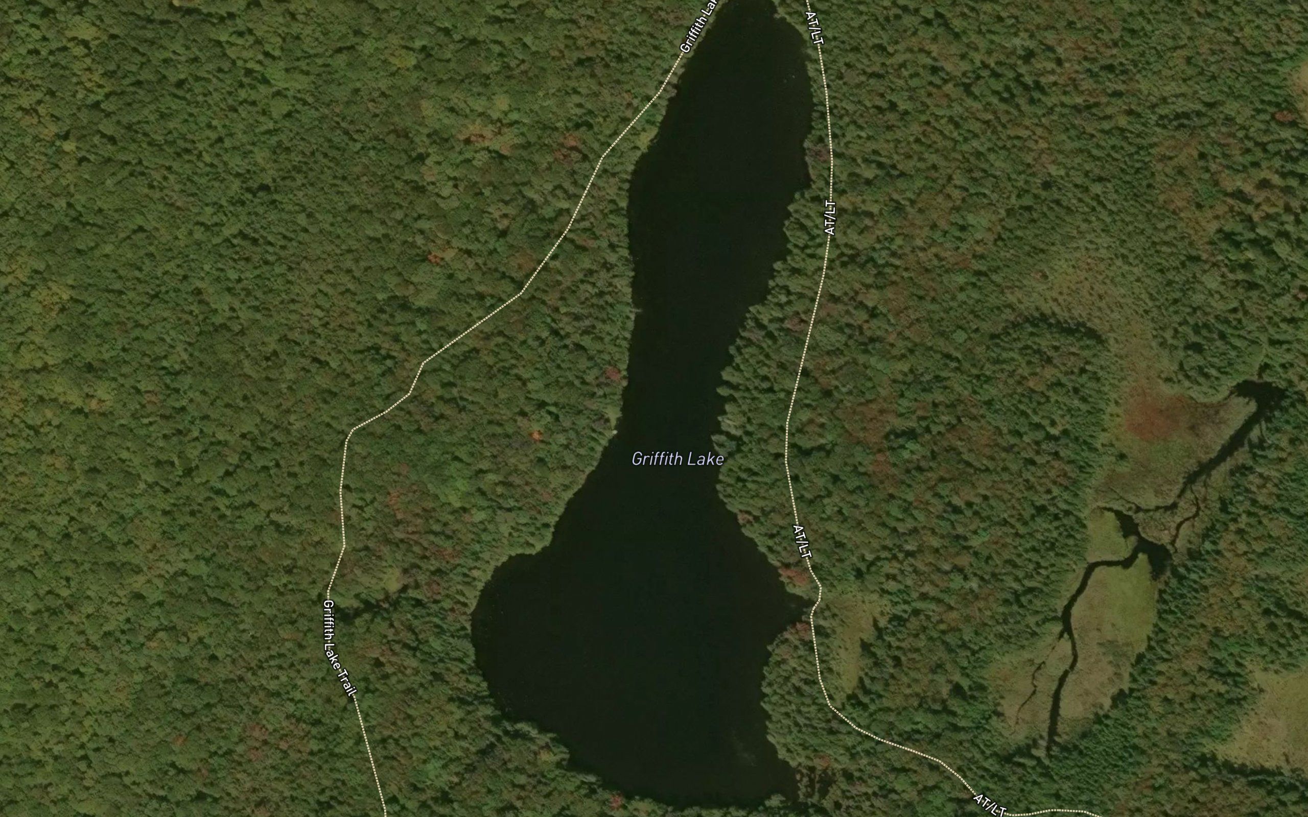 Griffith Lake