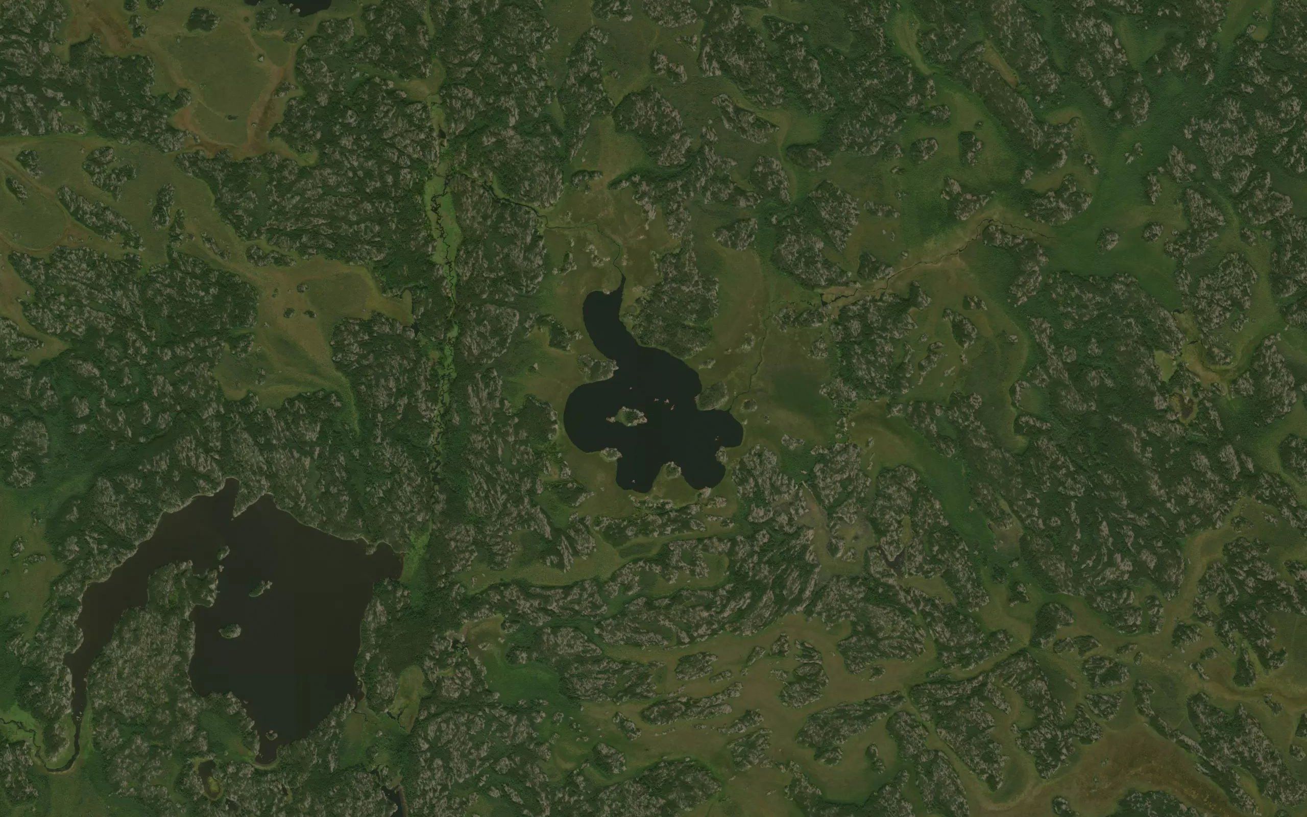 Amoskawaywesis Lake
