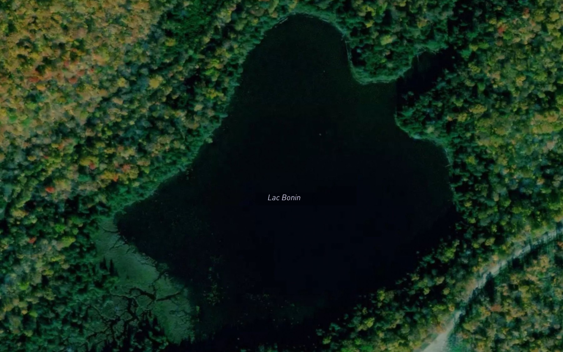 Satellite map of the Lac Bonin