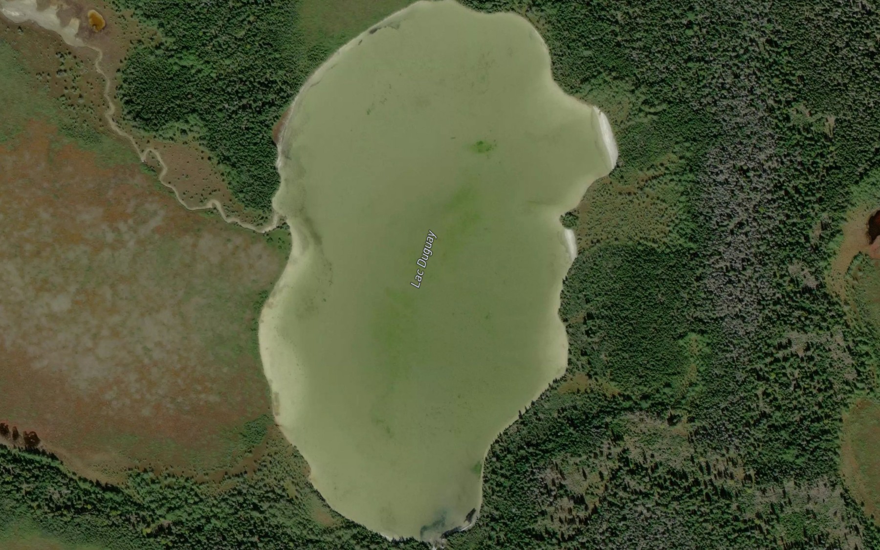 Satellite map of the Lac Duguay
