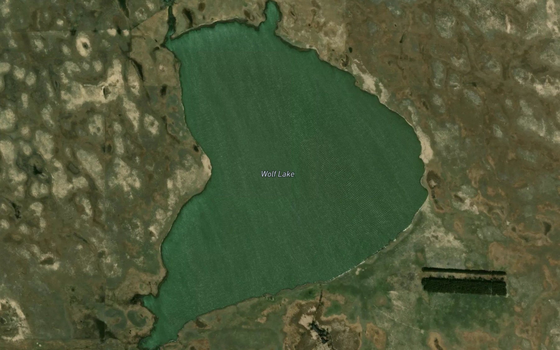 Satellite map of the Wolf Lake
