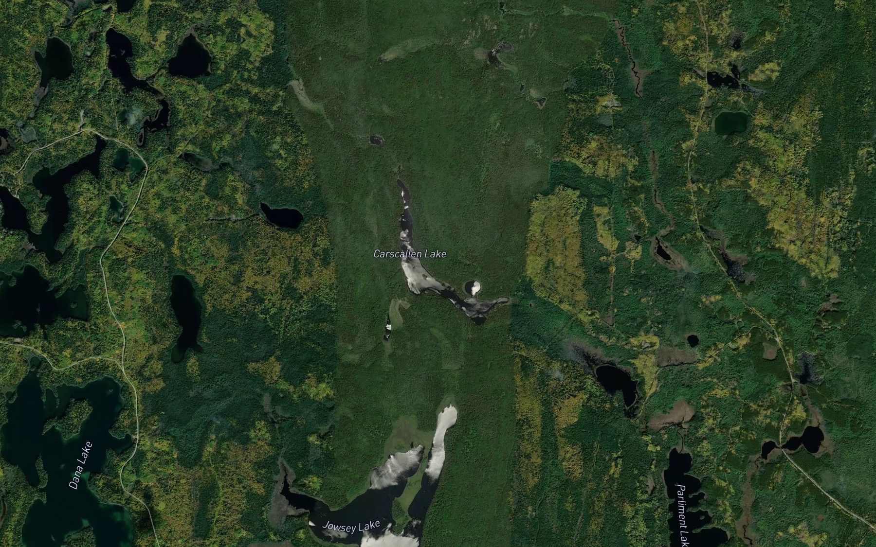 Satellite map of the Carscallen Lake