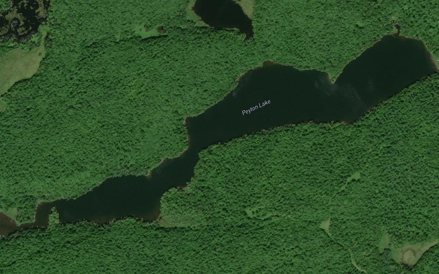 Satellite map of the Peyton Lake