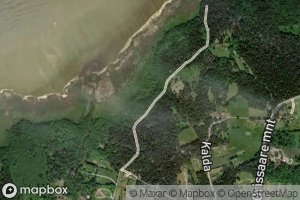 Satellite map of the Leisi Jogi