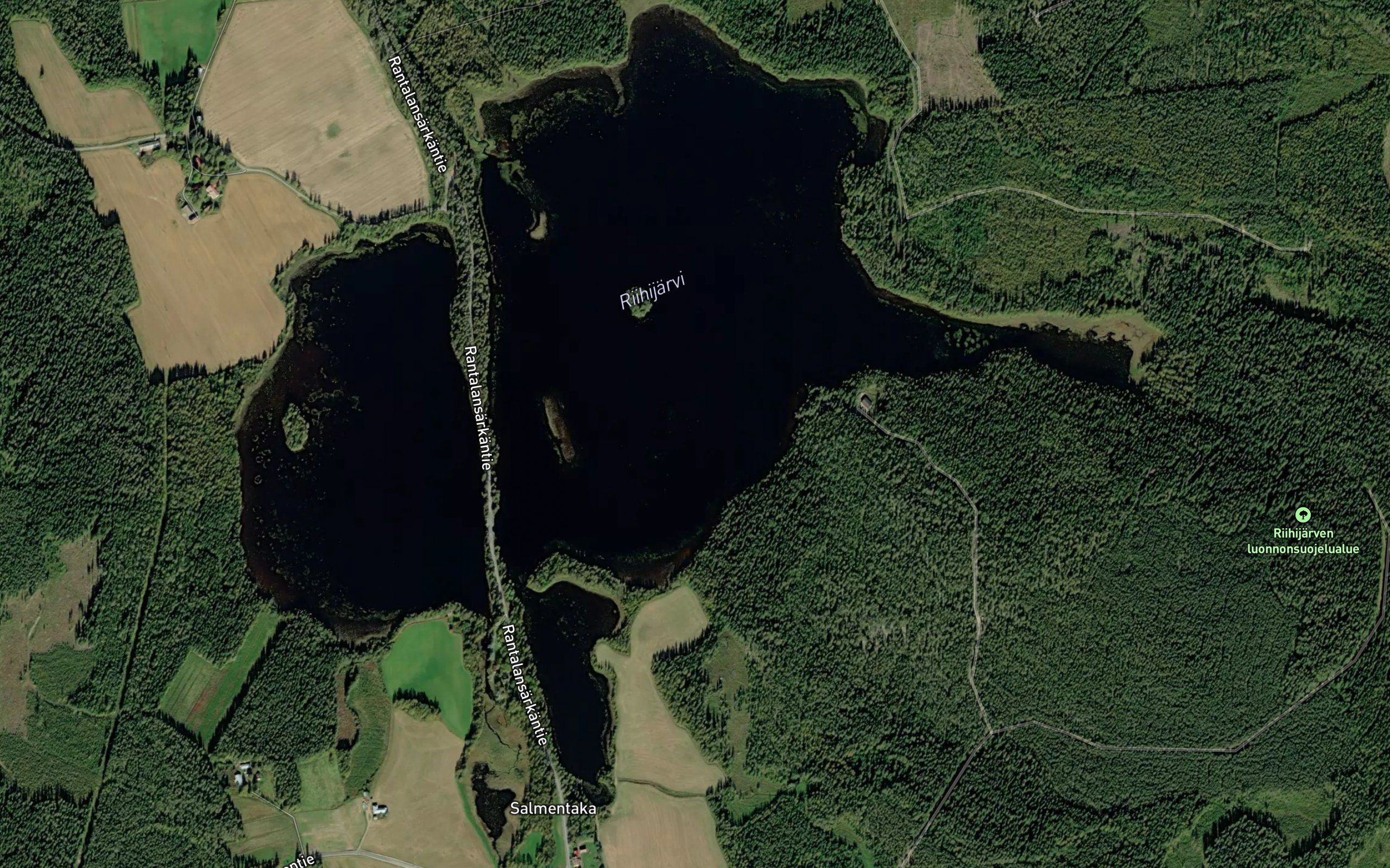 Riihijarvi