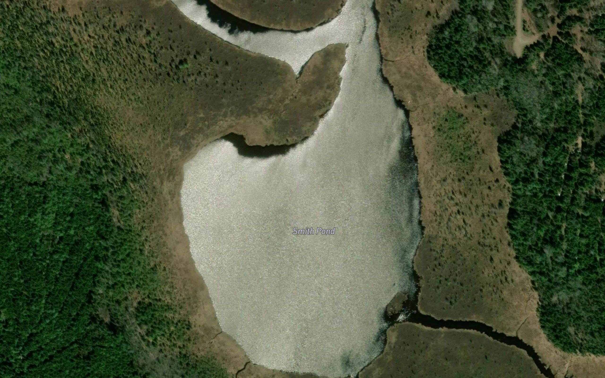 Smith Pond
