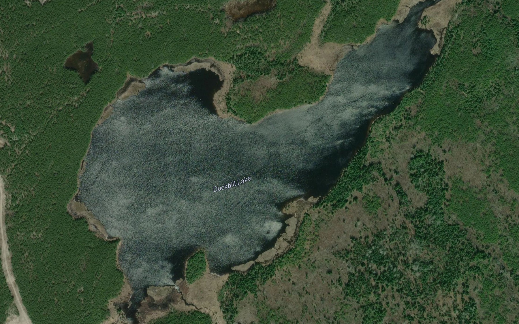 Satellite map of the Duckbill Lake