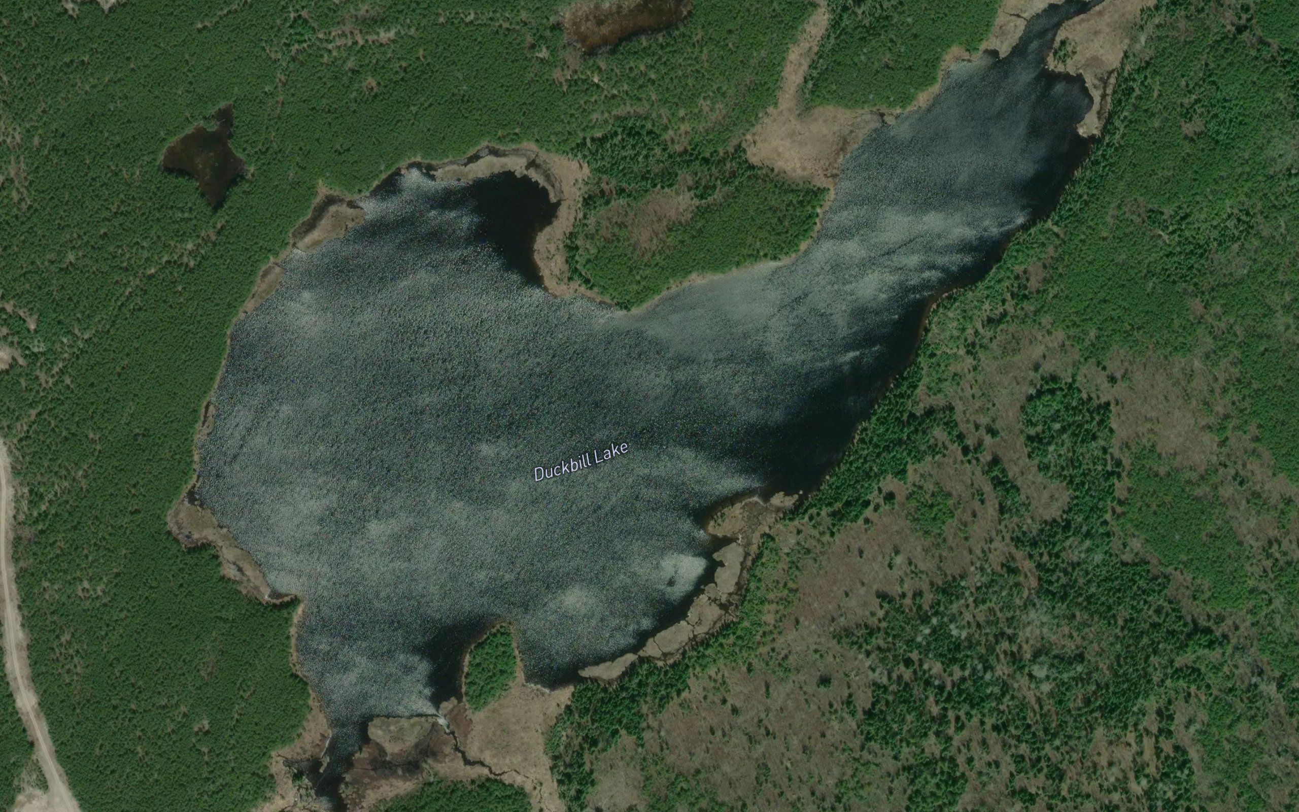 Duckbill Lake