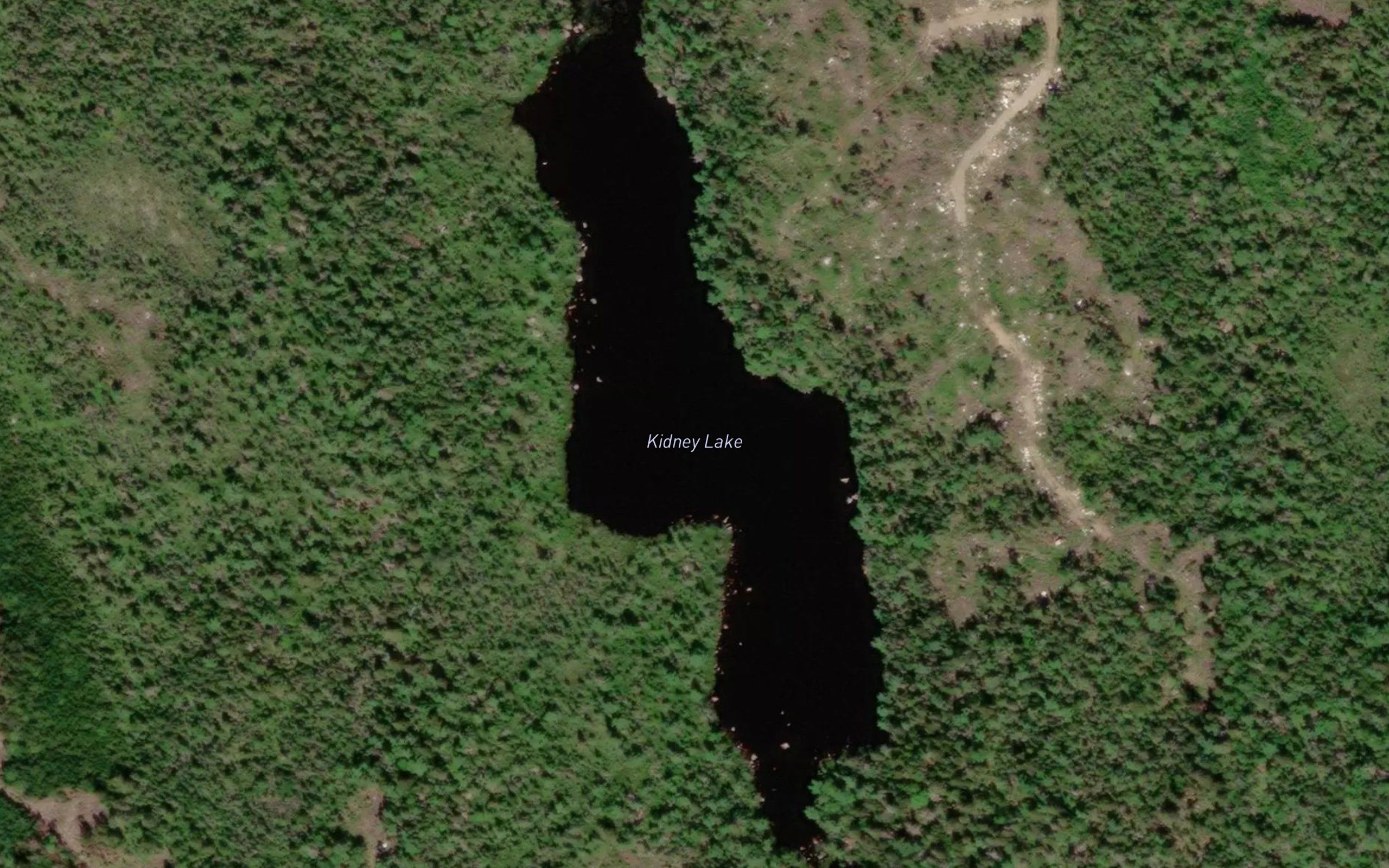 Kidney Lake