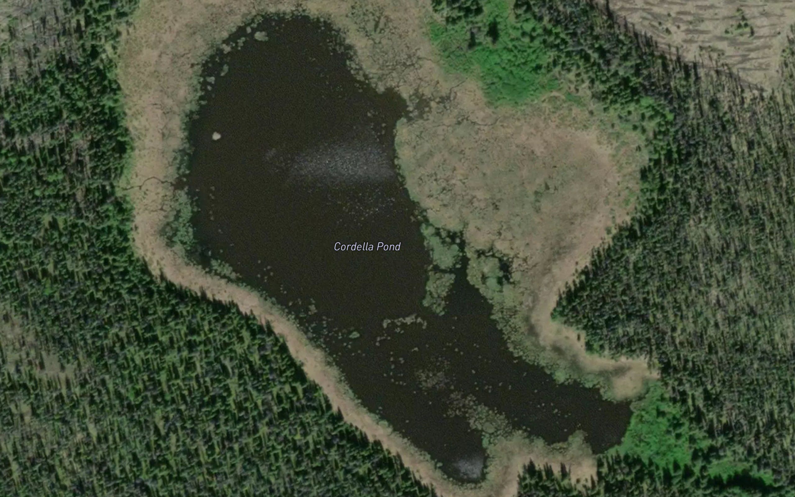 Cordella Pond
