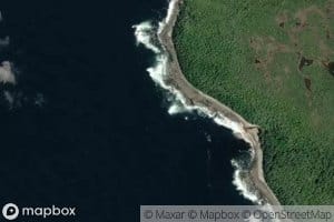 Carrington Reef