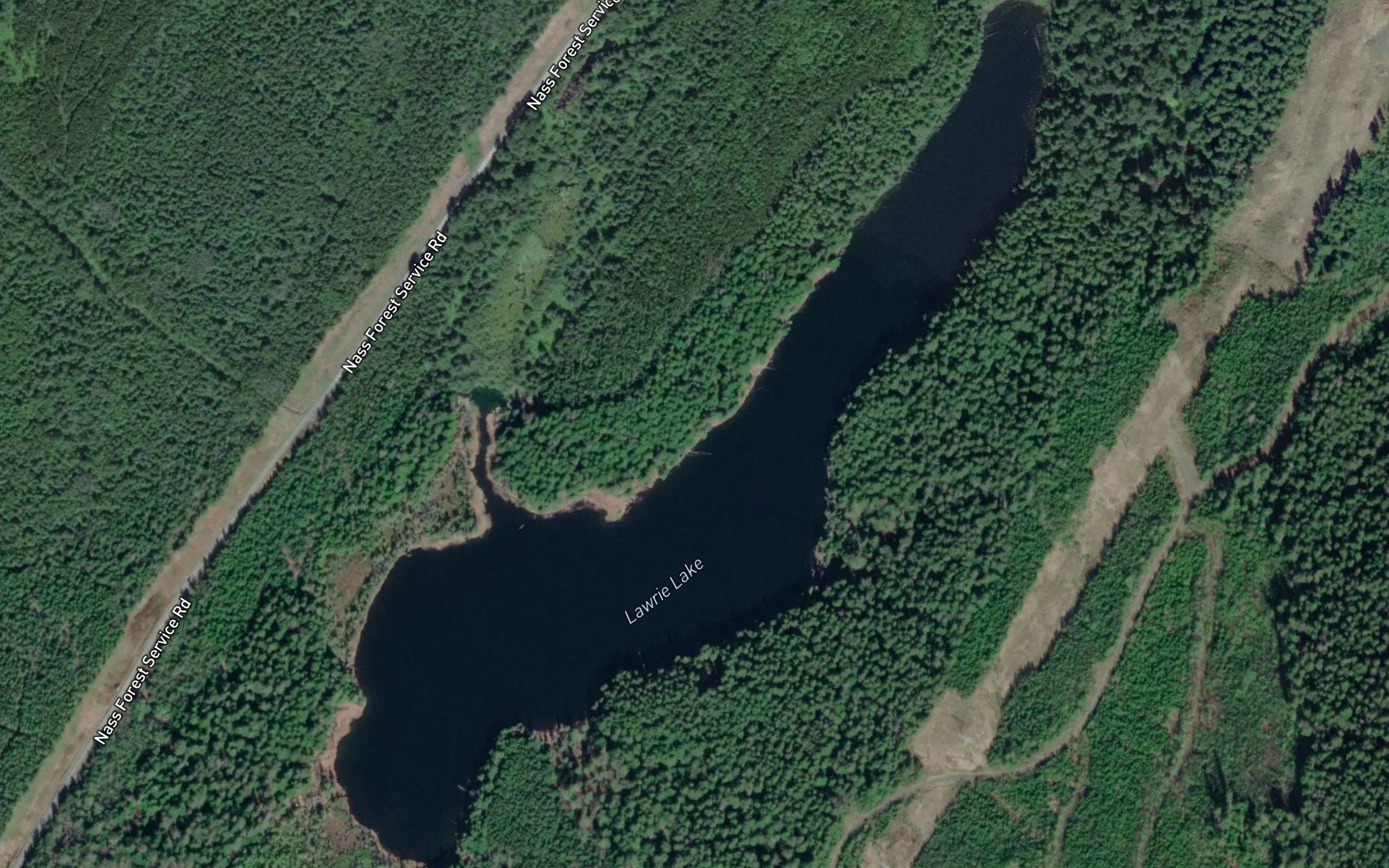 Lawrie Lake