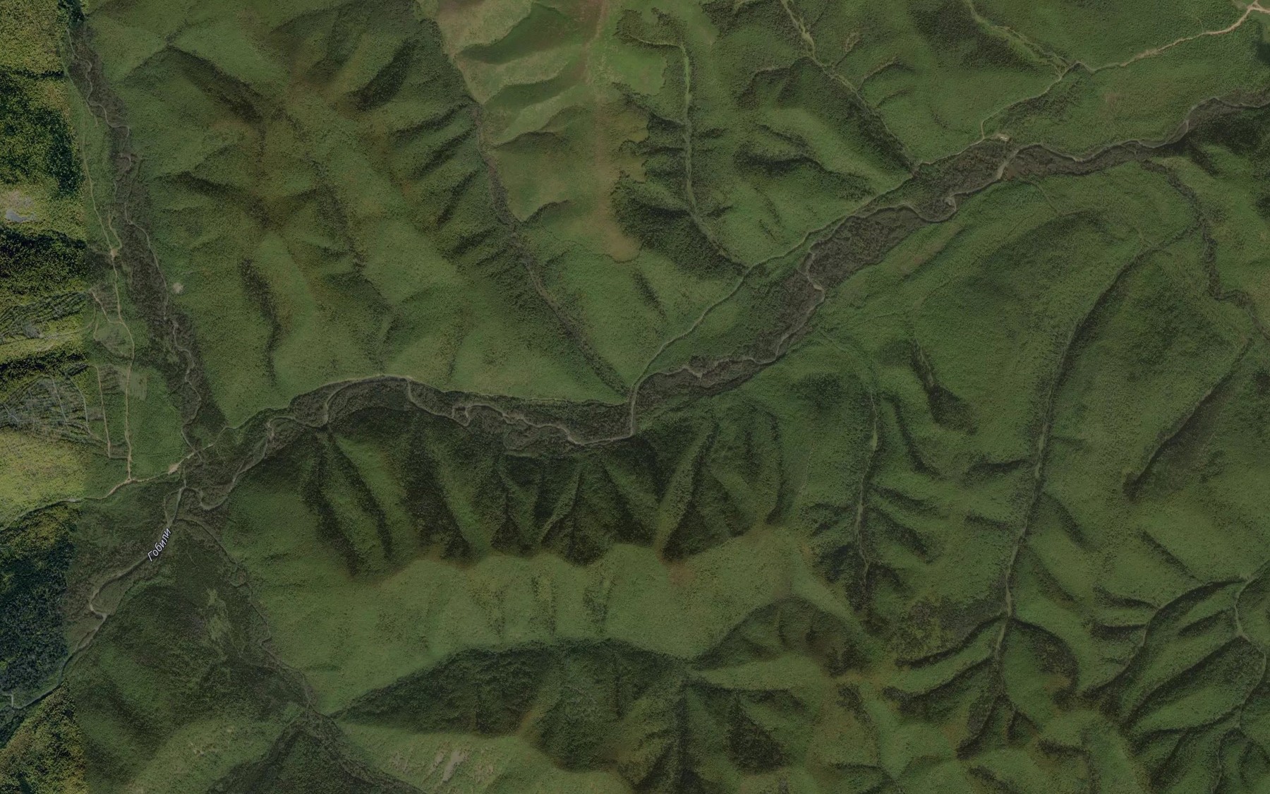 Satellite map of the Pravyy Gorelyy