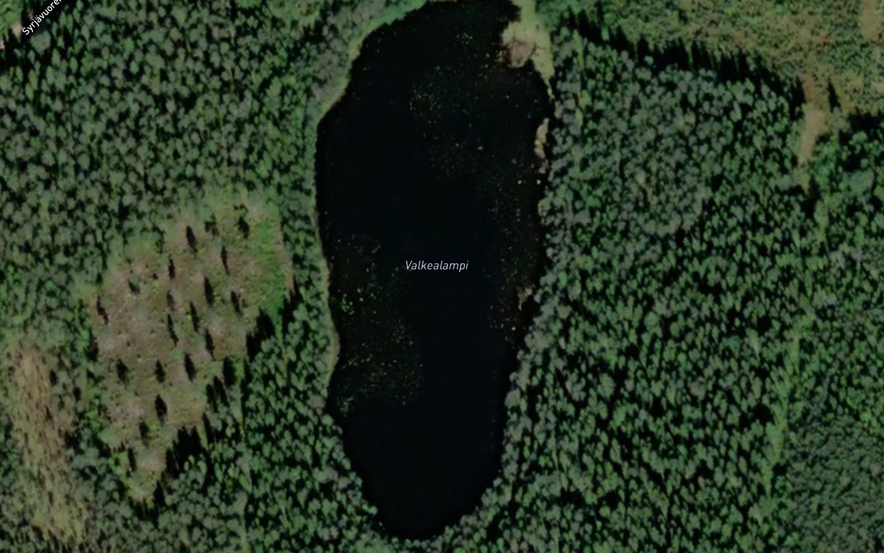 Satellite map of the Valkealampi
