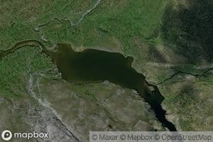 Golddaluoppal,vuolit