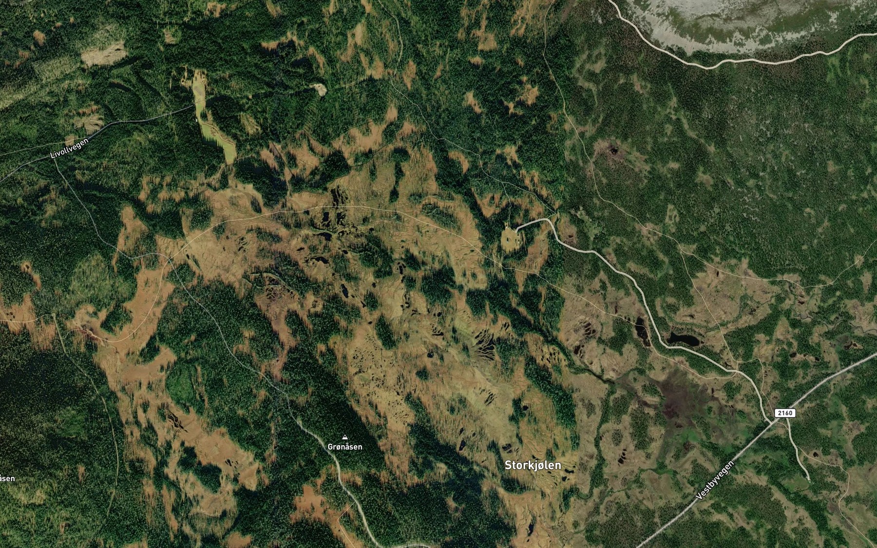 Satellite map of the Styggrisbekken