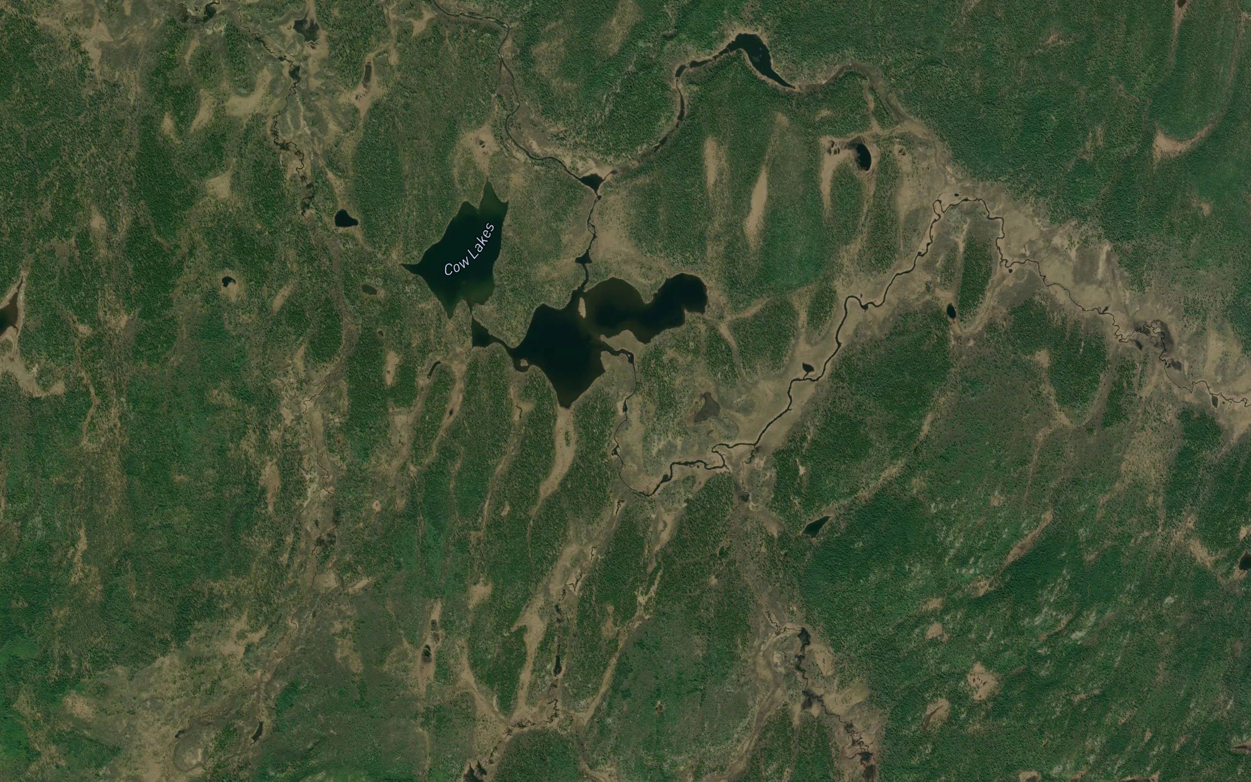 Cow Lakes