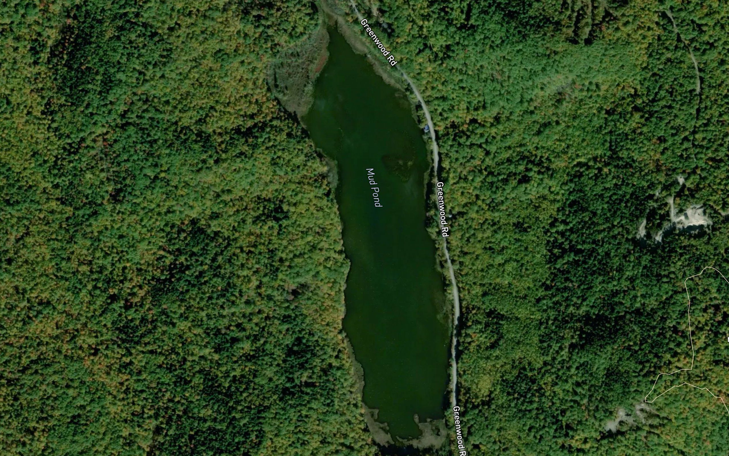 Mud Pond