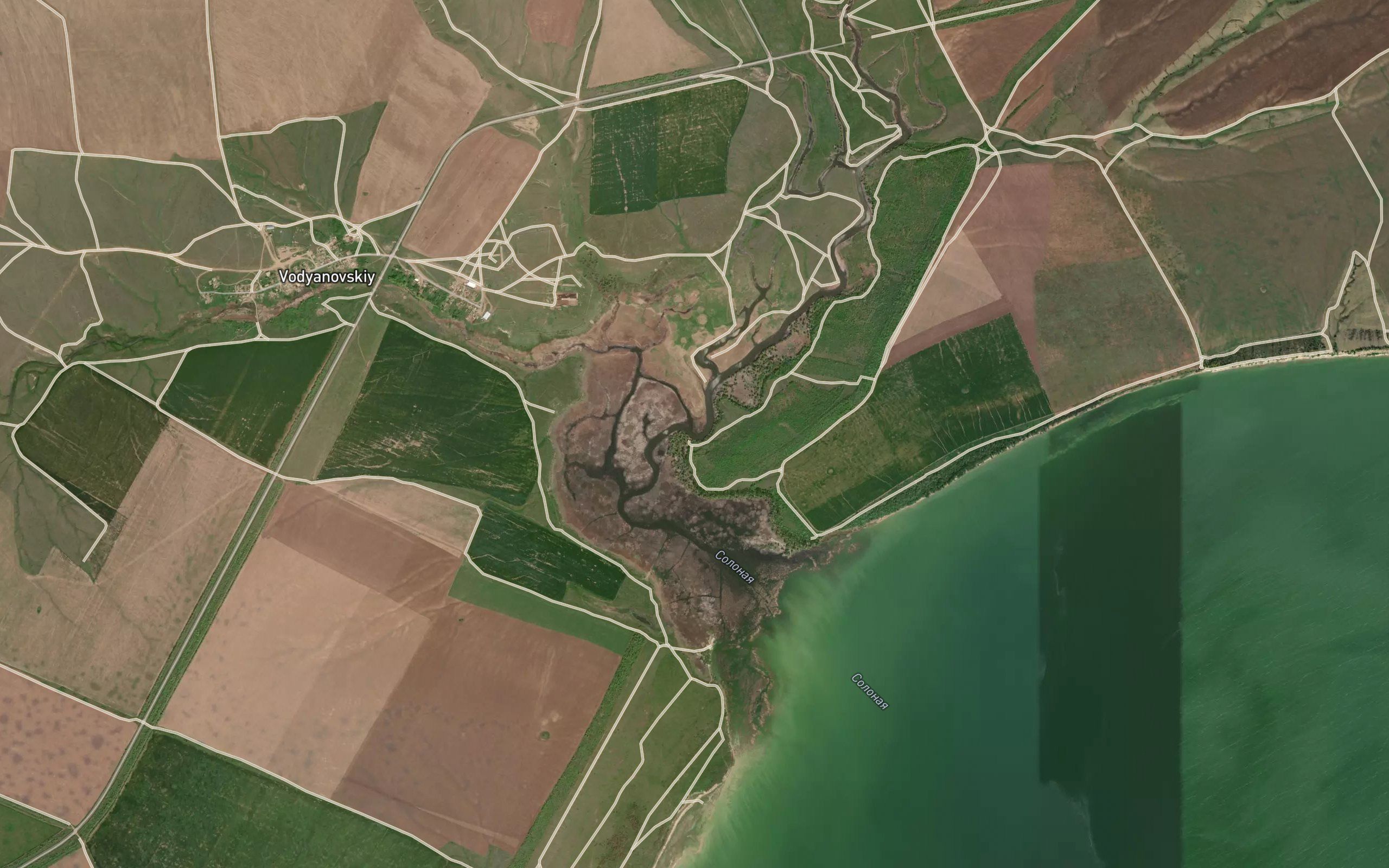 Solonaya