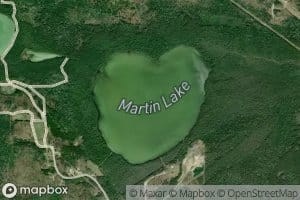 Martin Lake