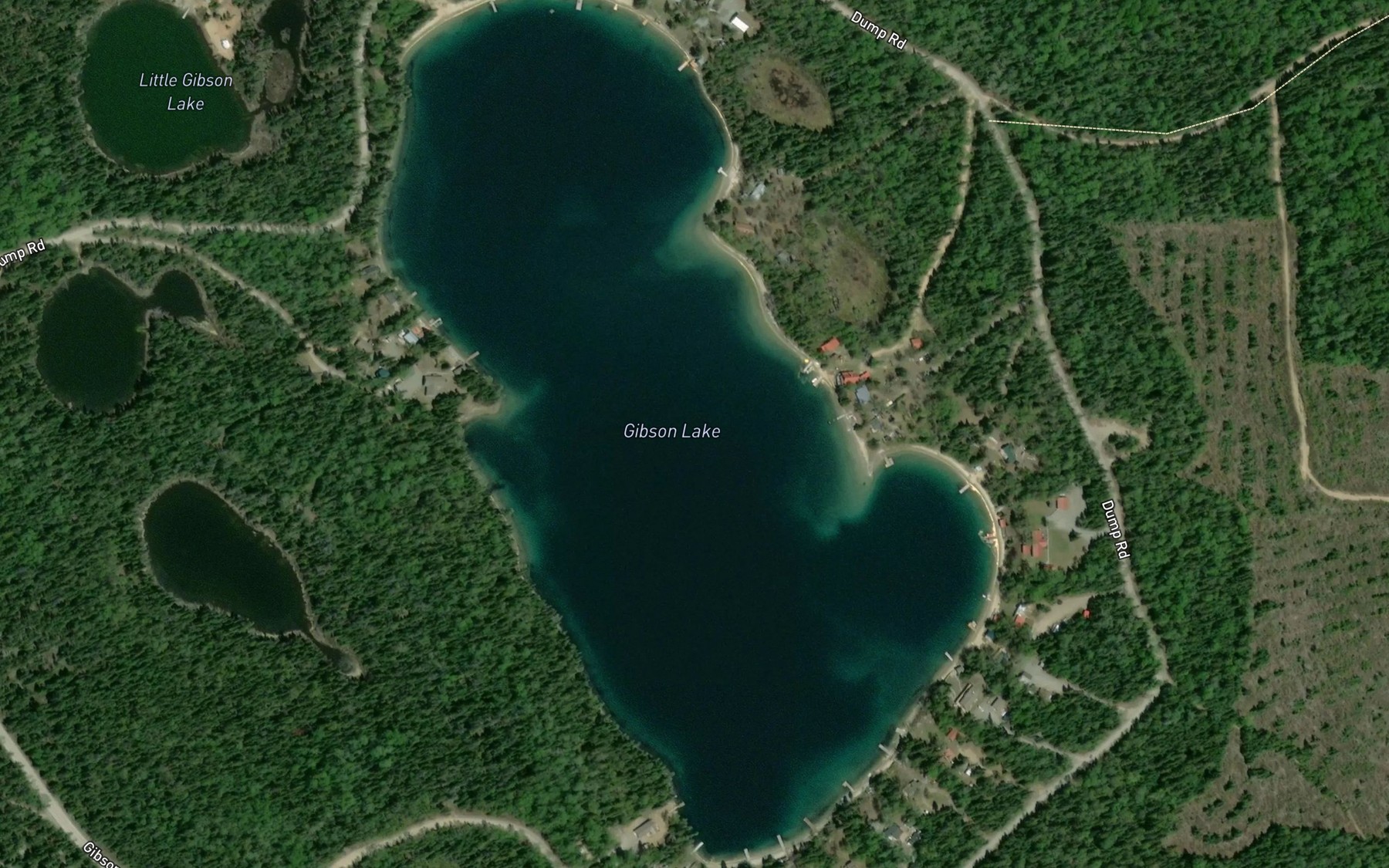 Satellite map of the Gibson Lake