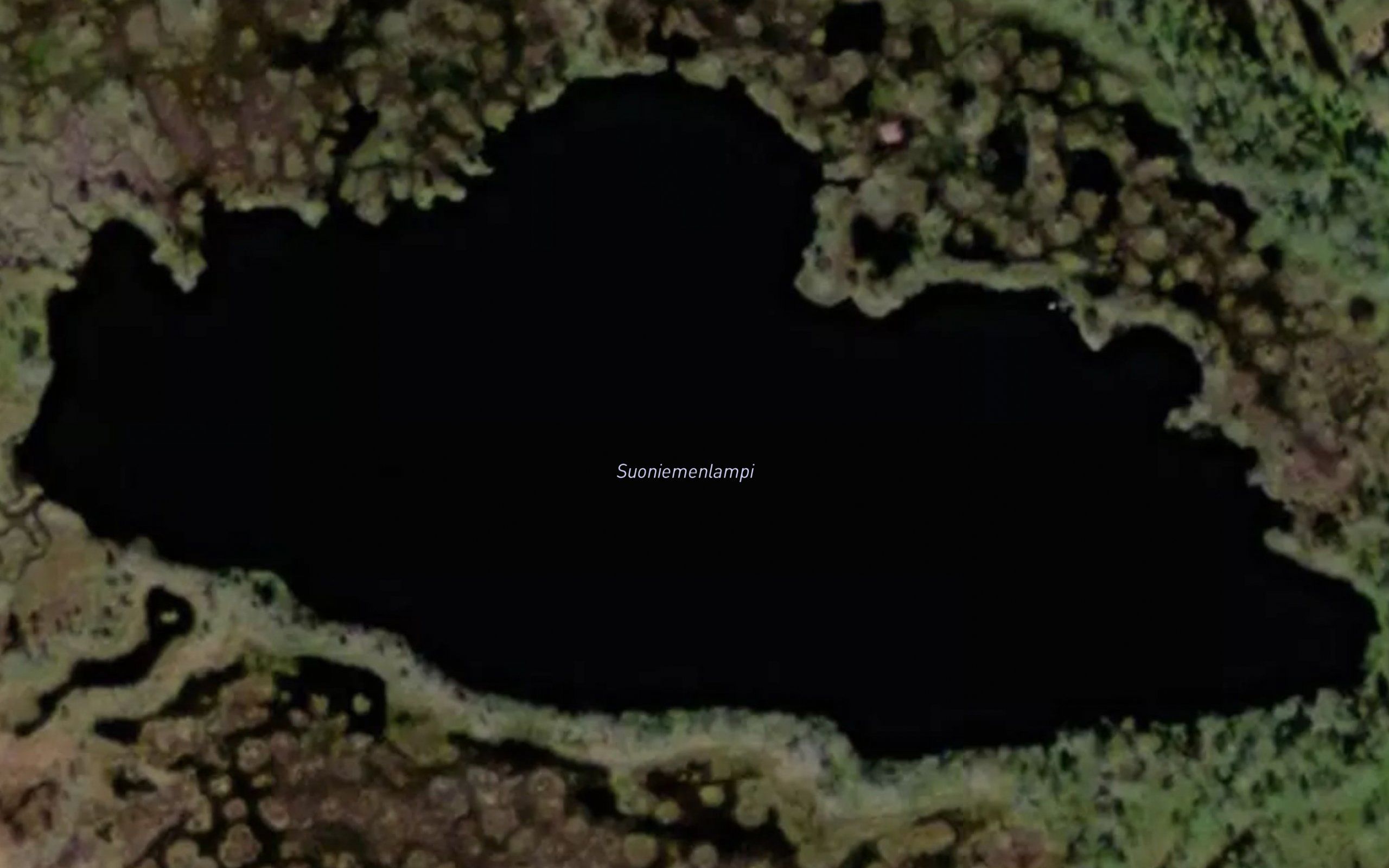 Suoniemenlampi