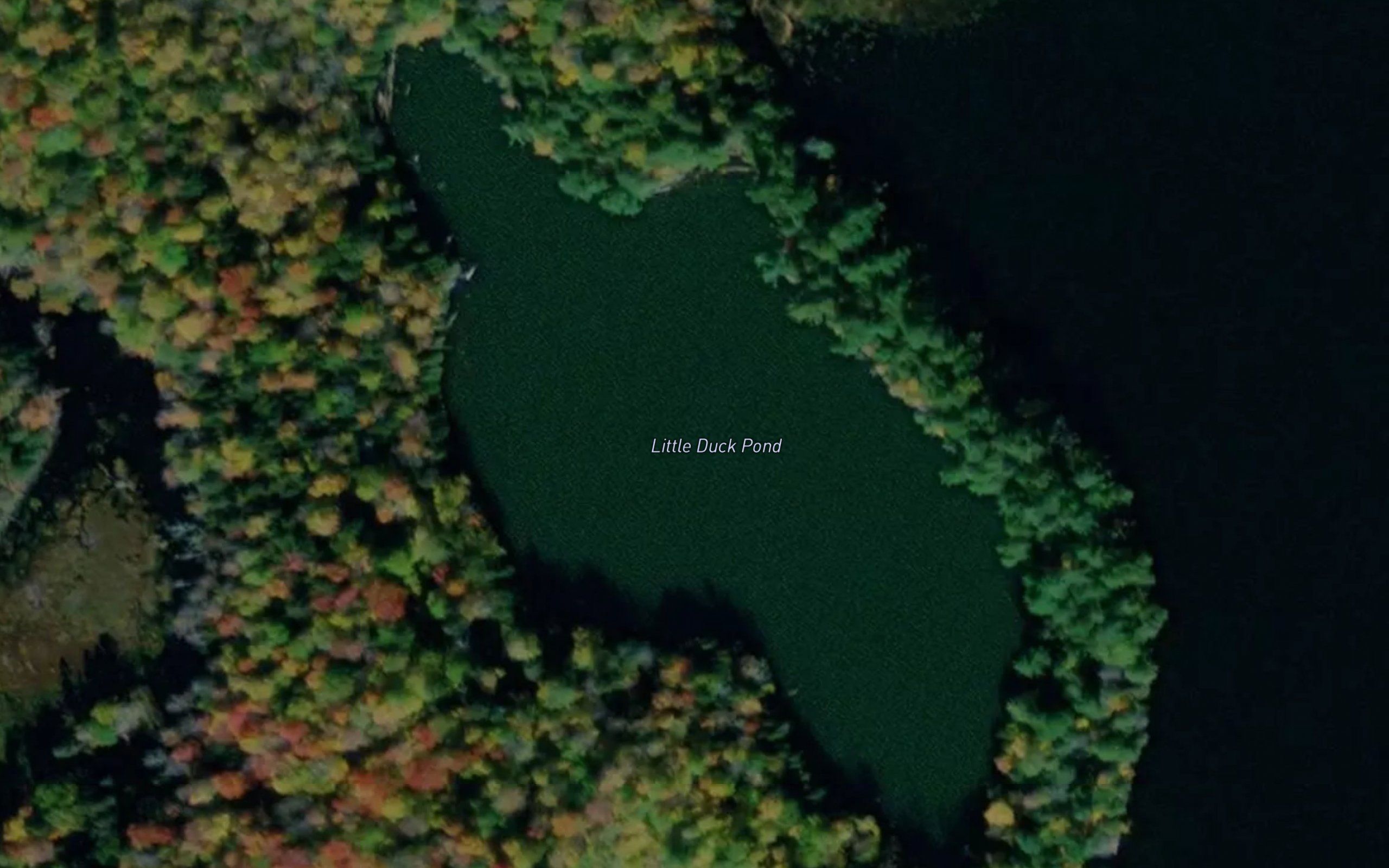 Little Duck Pond