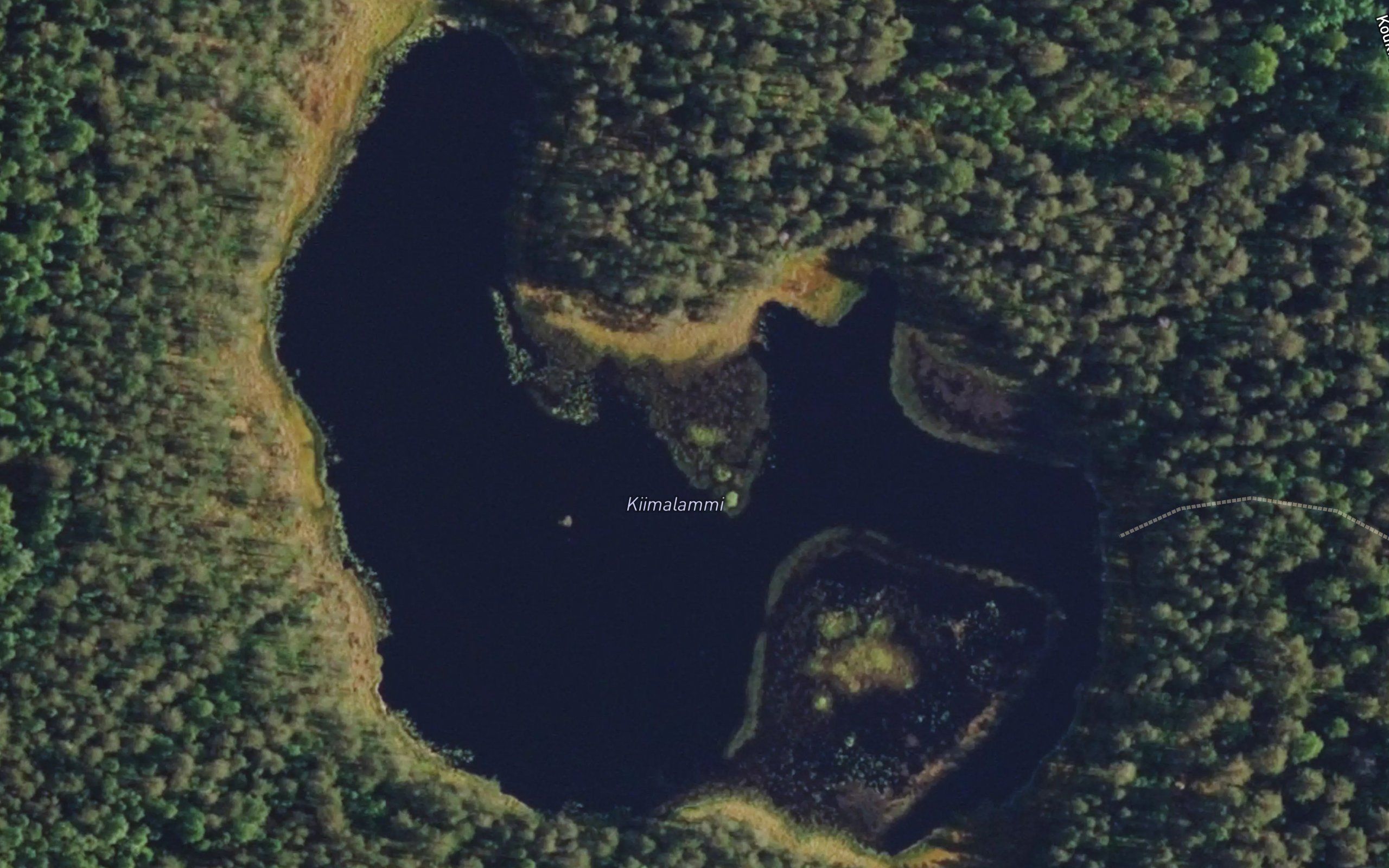 Kiimalammi
