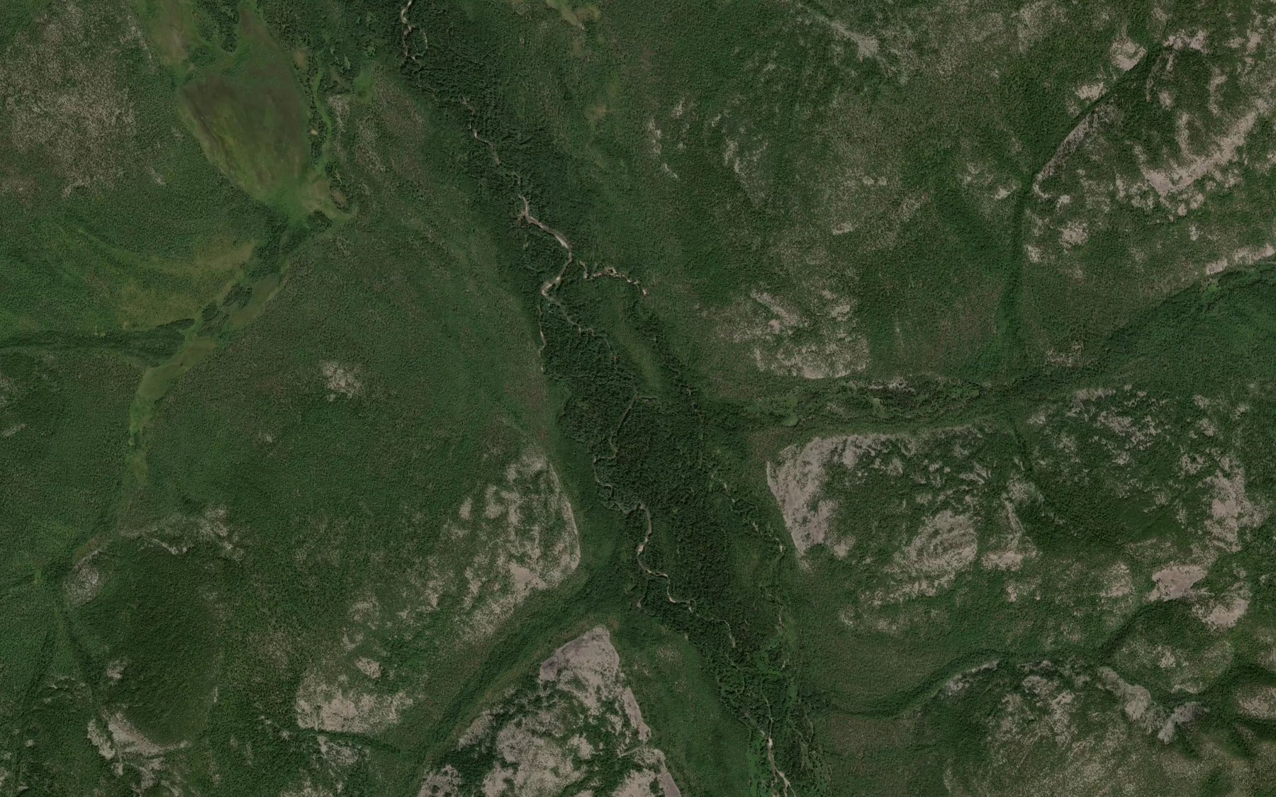 Satellite map of the Zayachiy