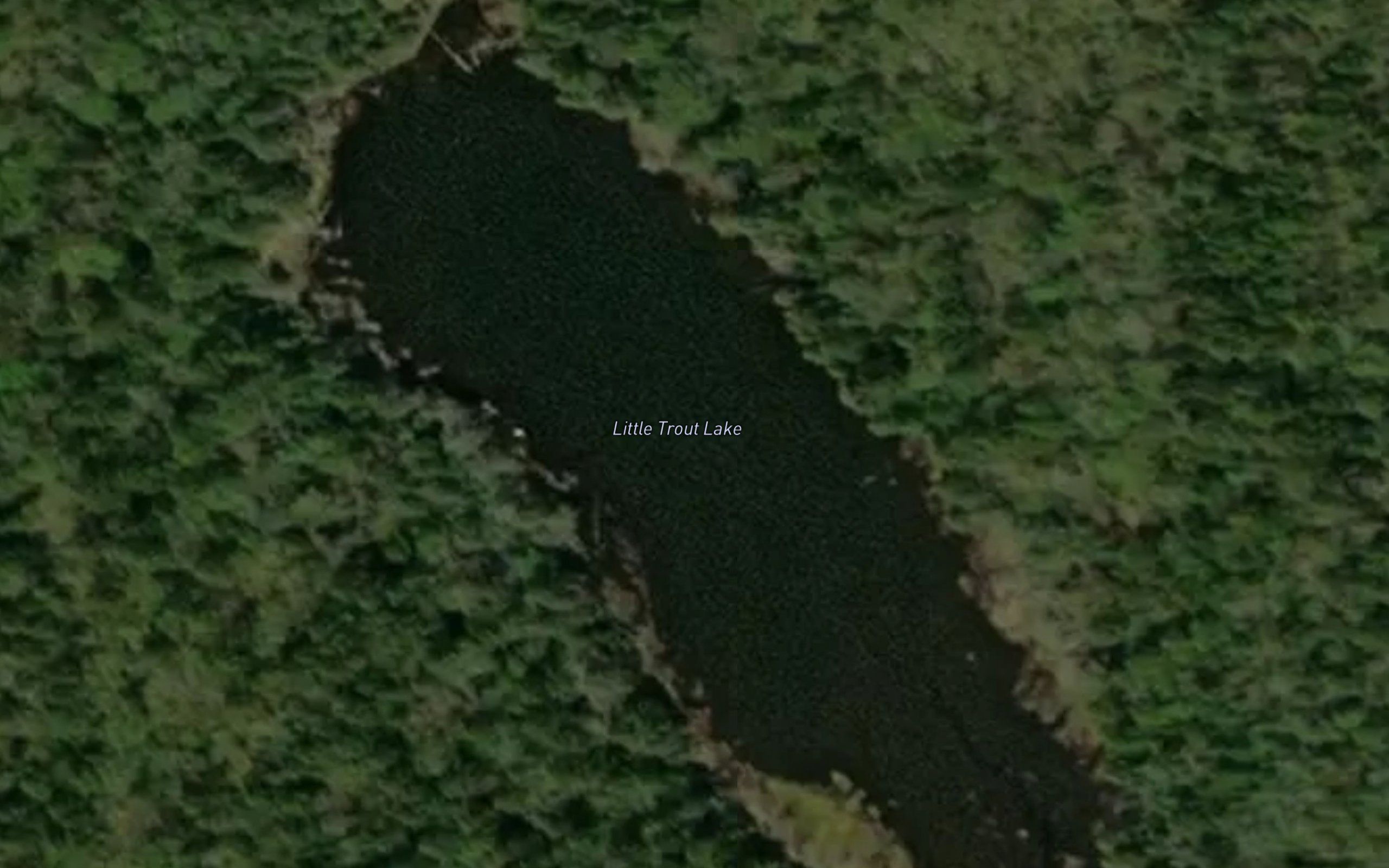 Little Trout Lake