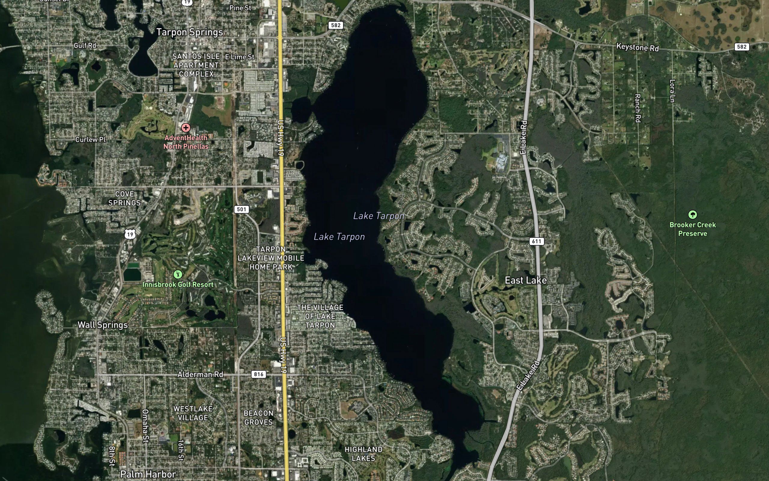 Lake Tarpon