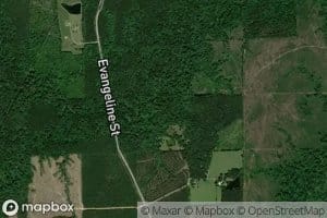 South Prong Bayou Cocodrie