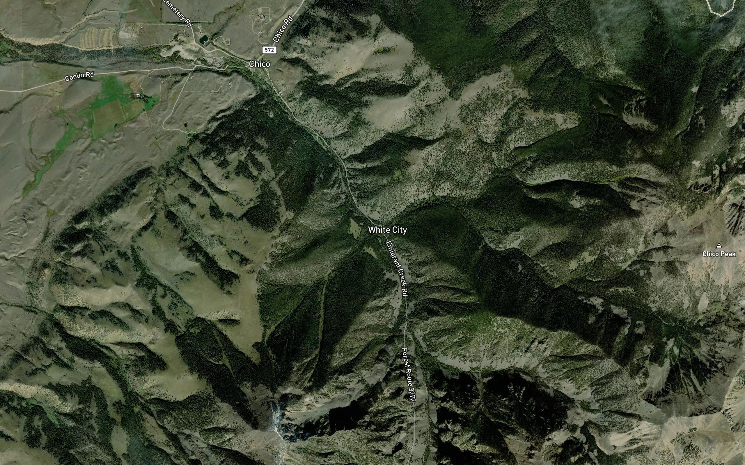 Blacktail Creek
