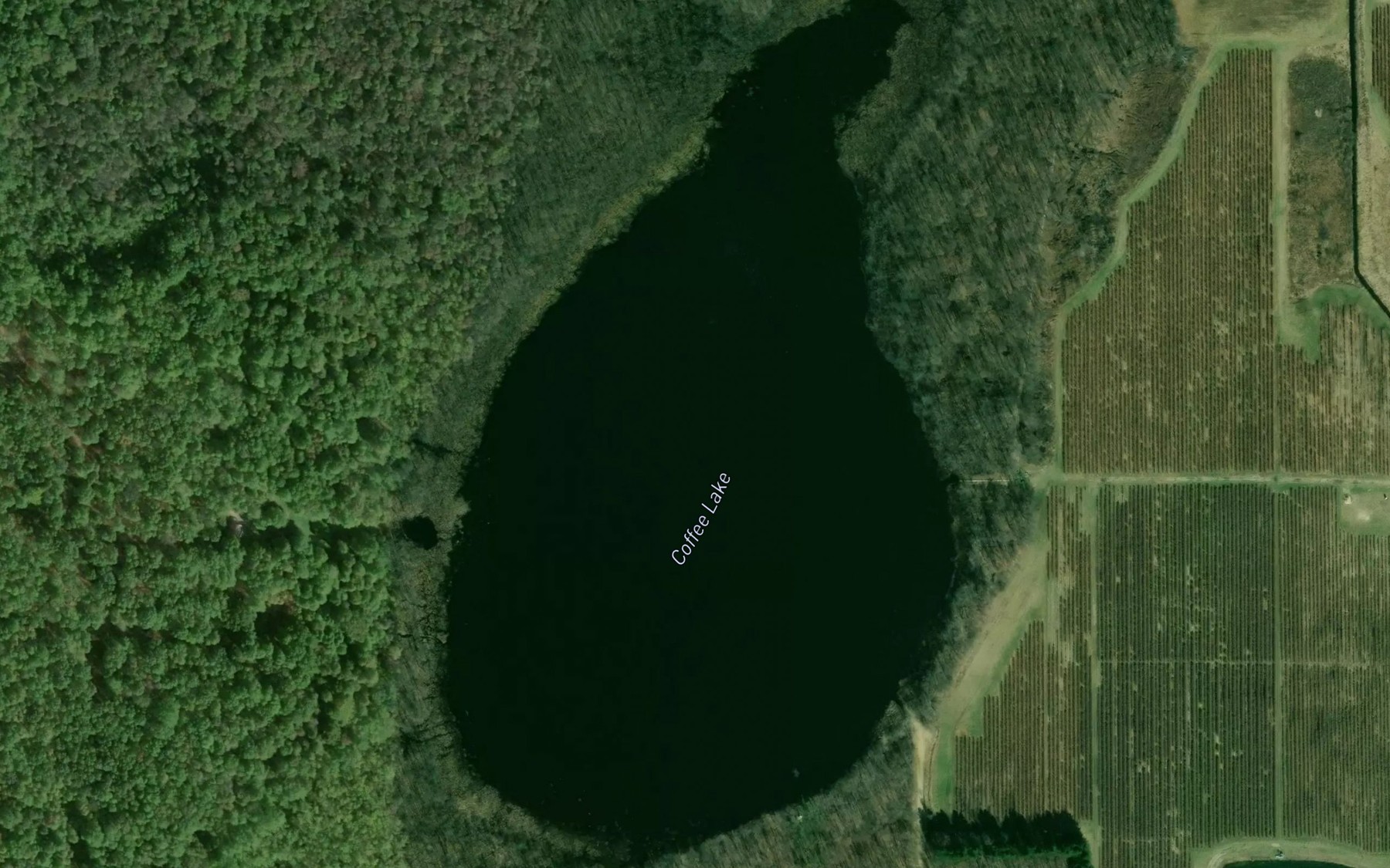 Satellite map of the Coffee Lake