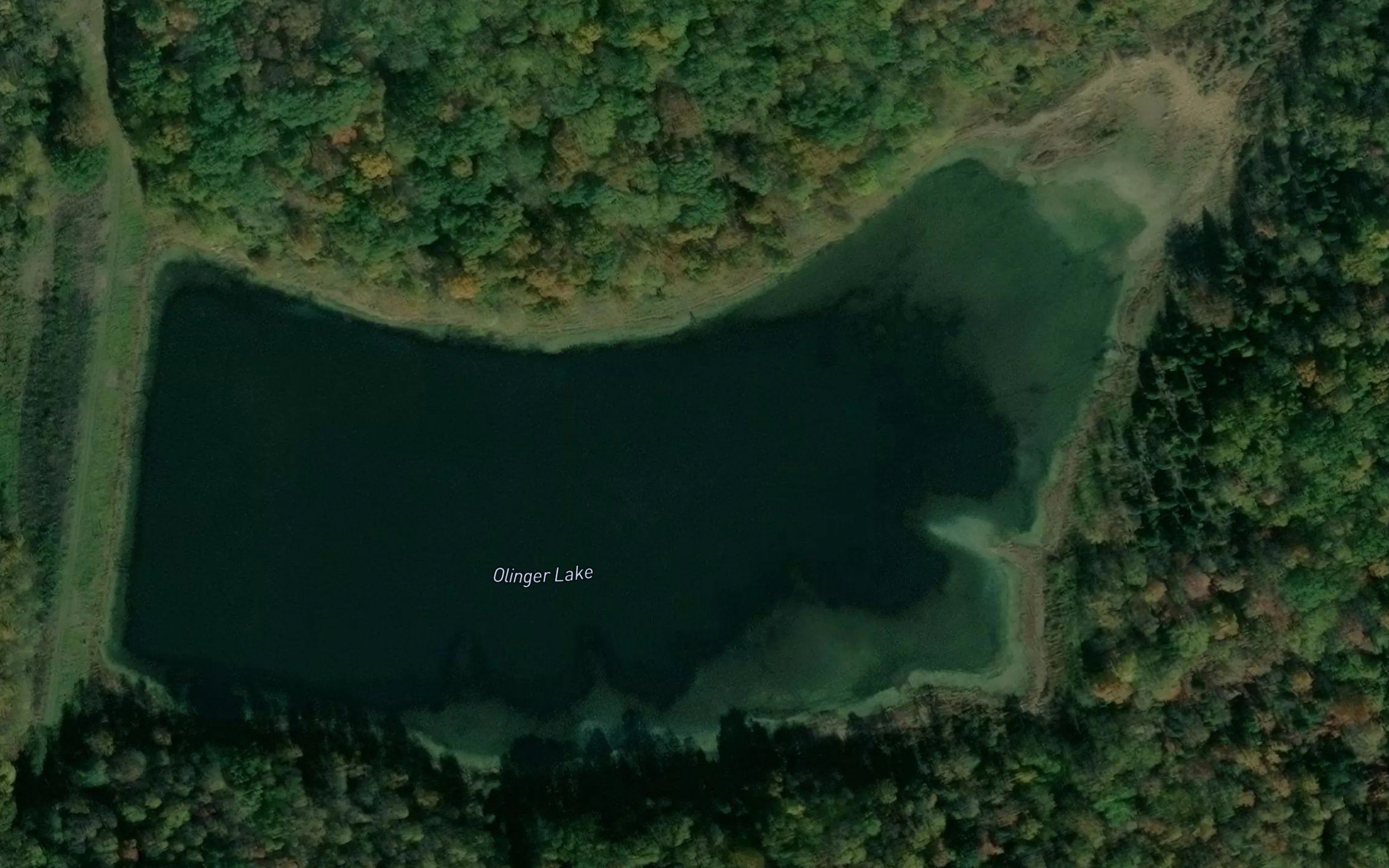 Olinger Lake