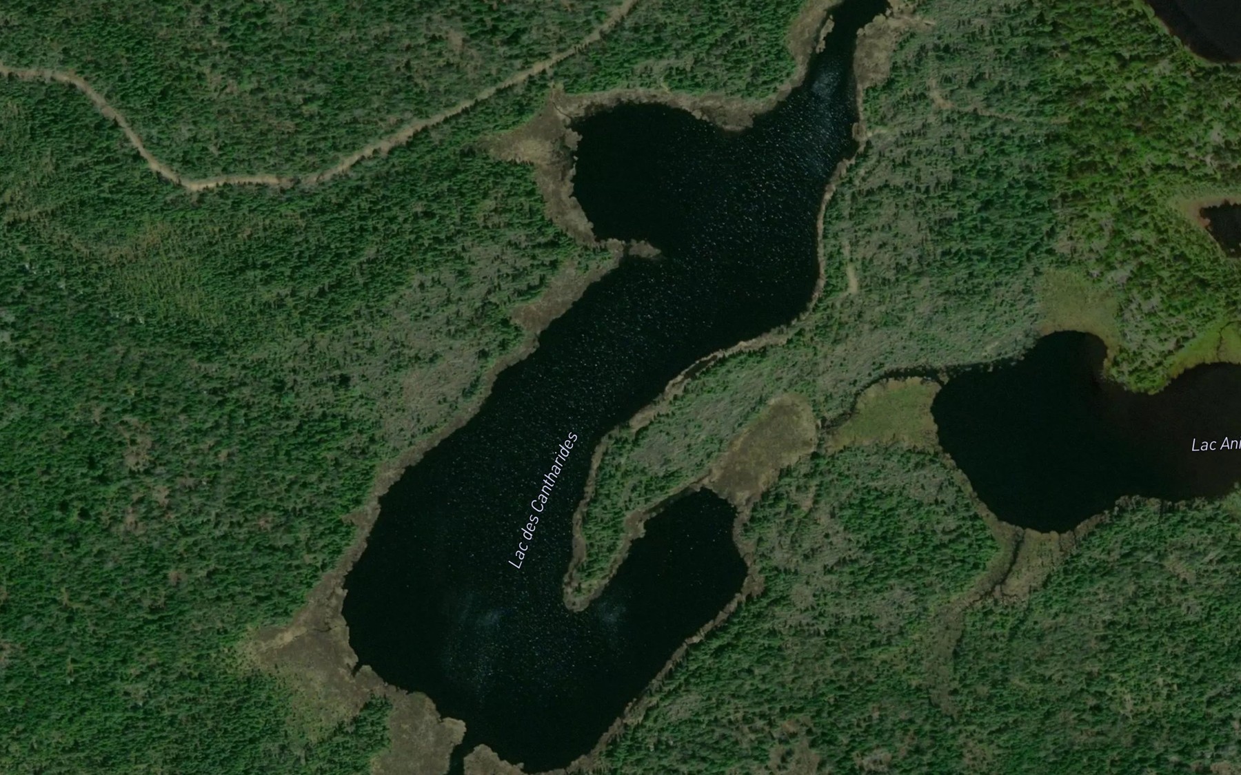 Satellite map of the Lac des Cantharides