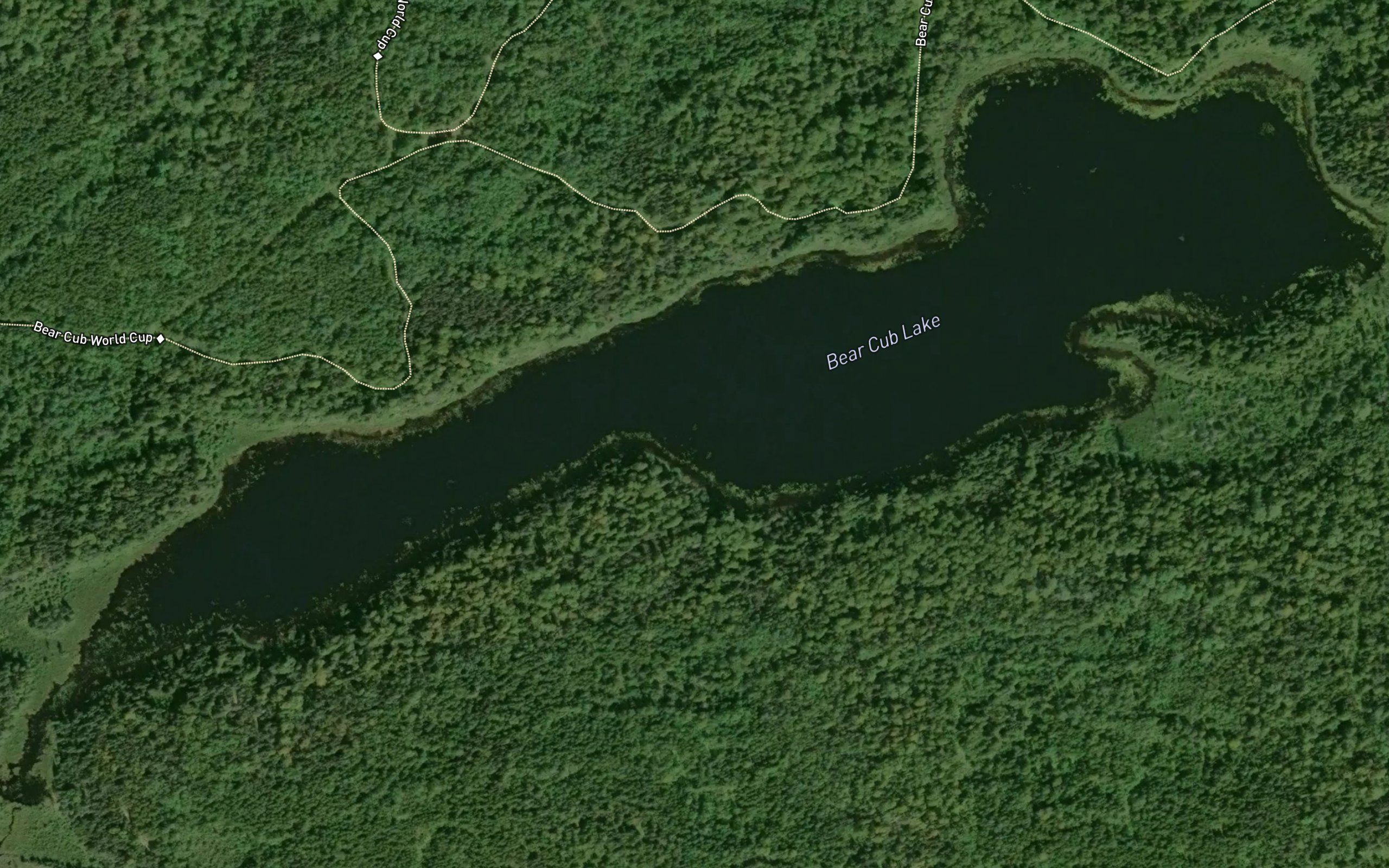 Bear Cub Lake