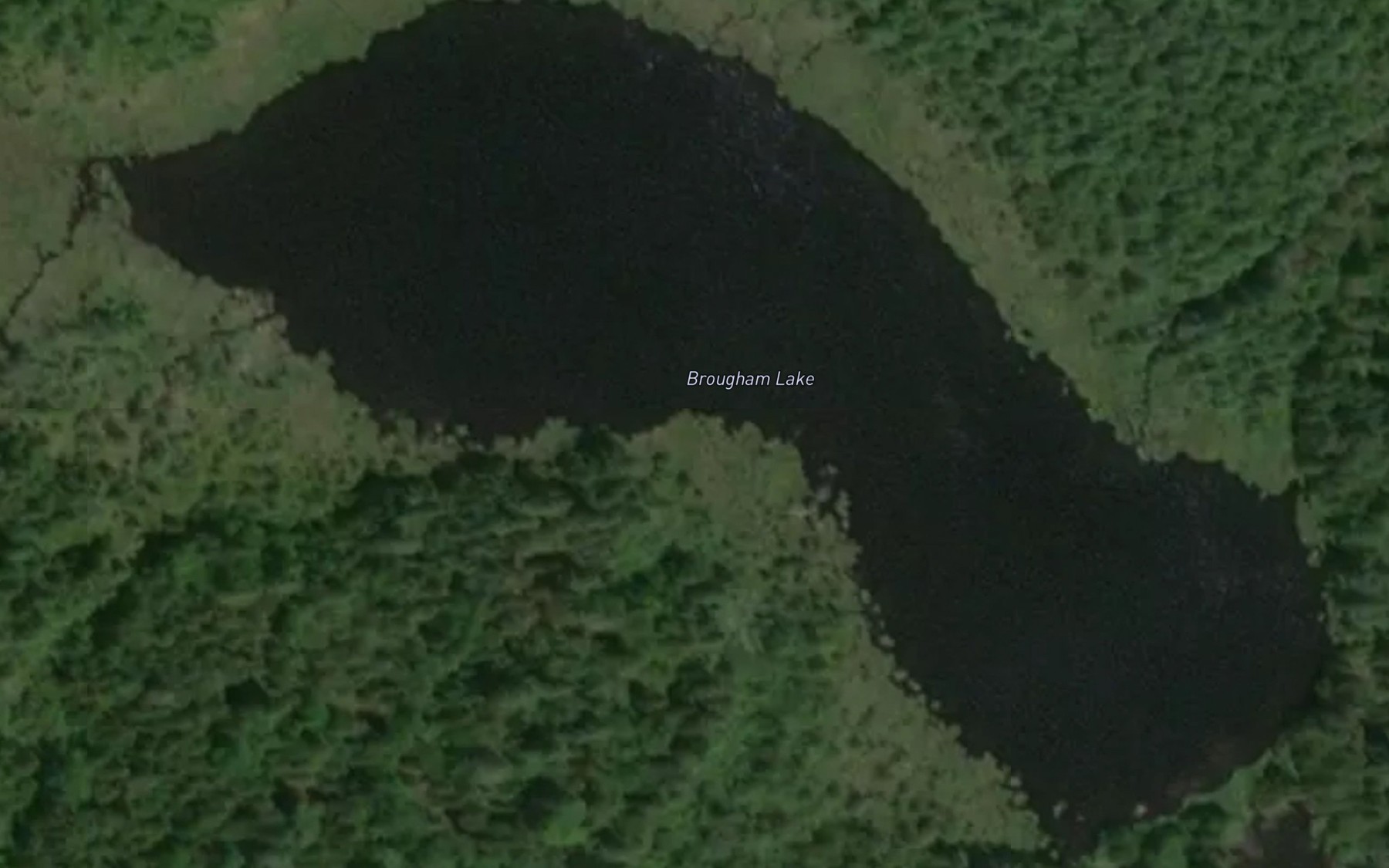 Satellite map of the Brougham Lake