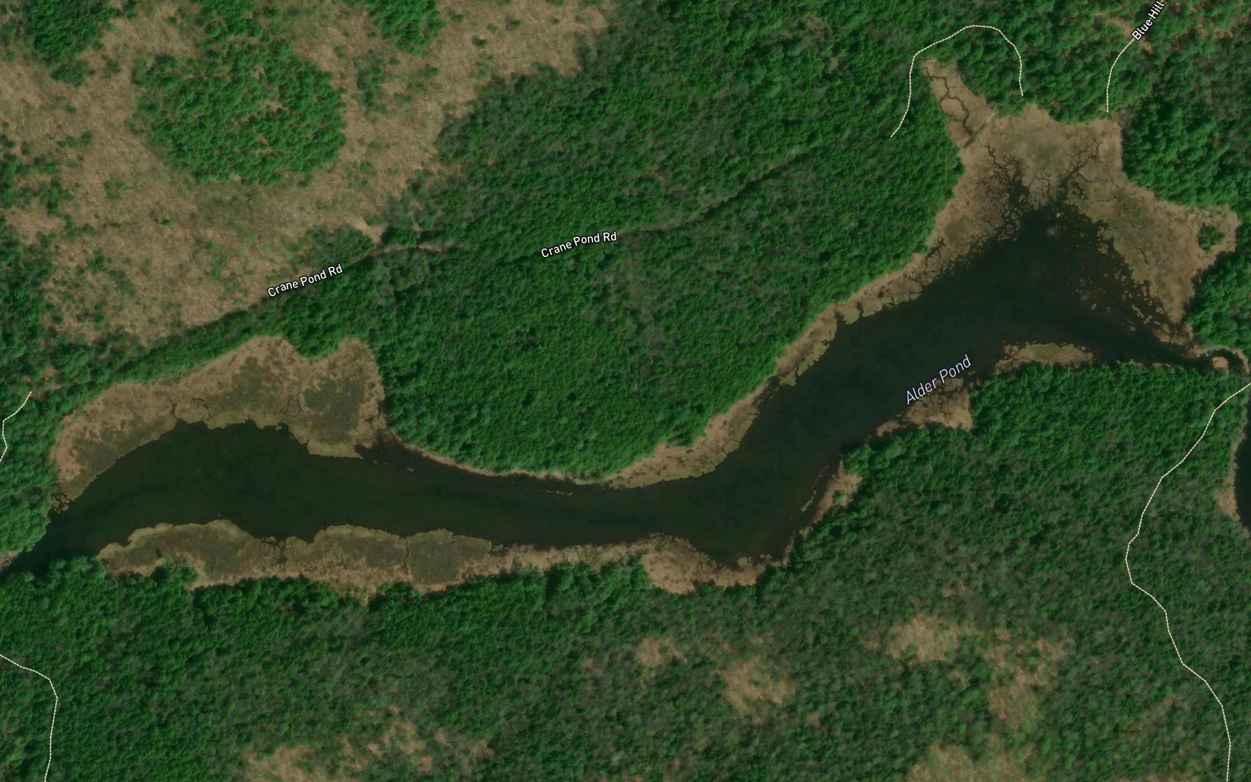 Alder Pond